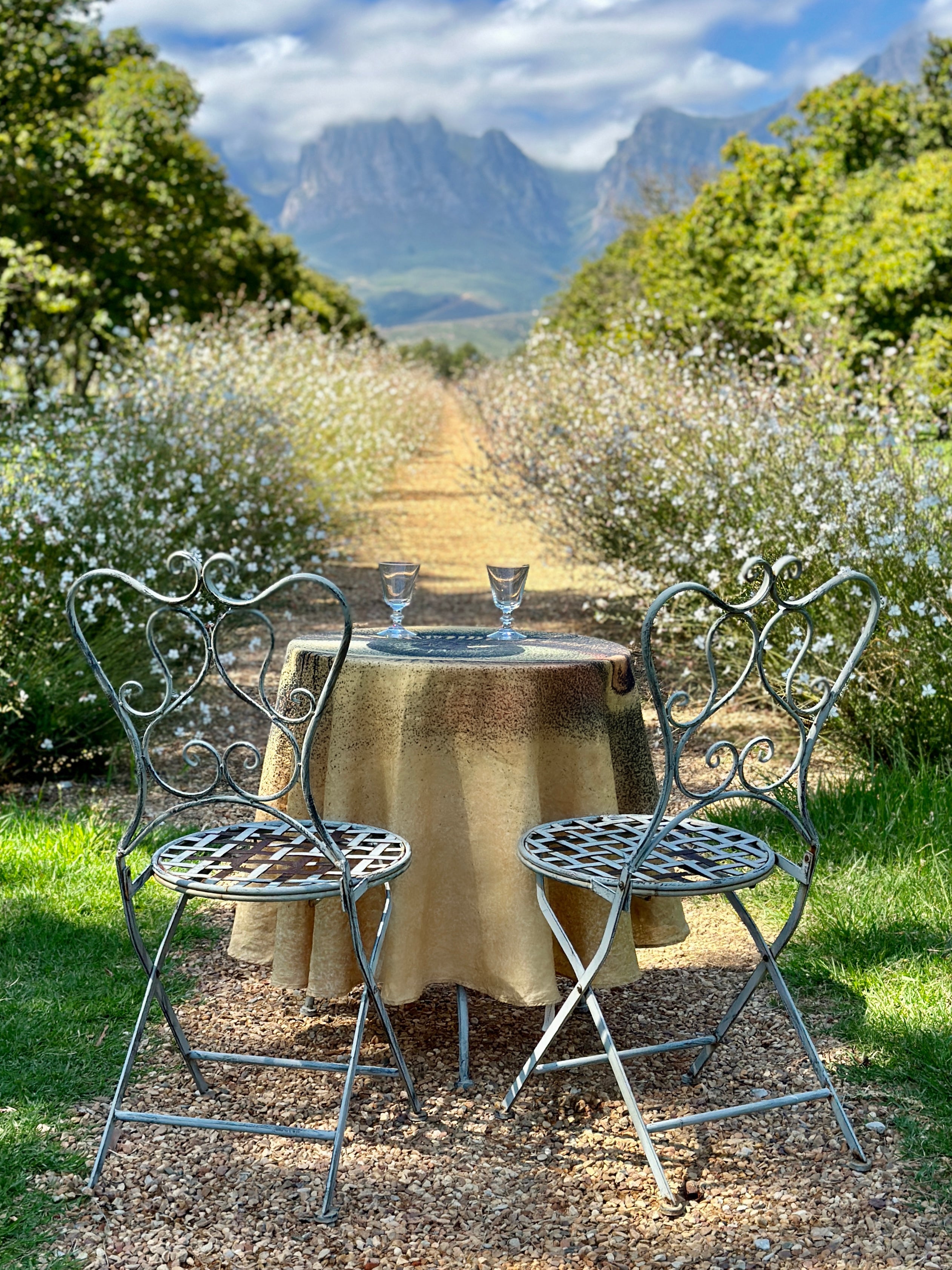 Now Starring: The Eye Tablecloth