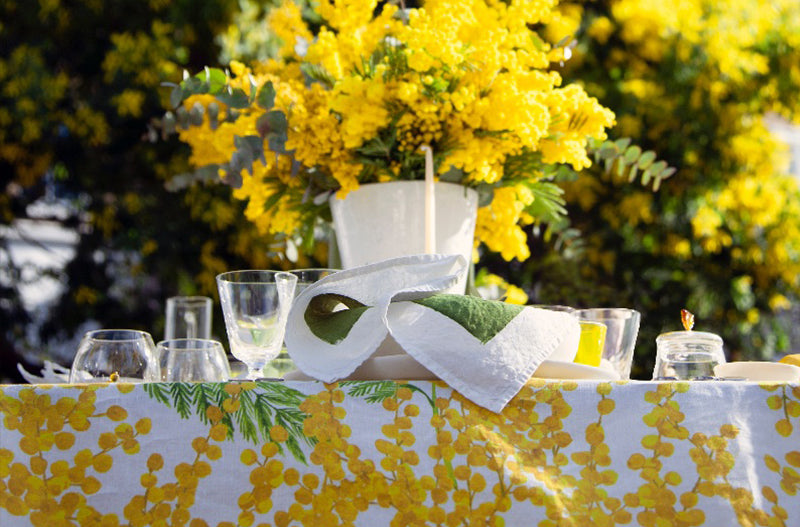 The Mimosa of Notting Hill