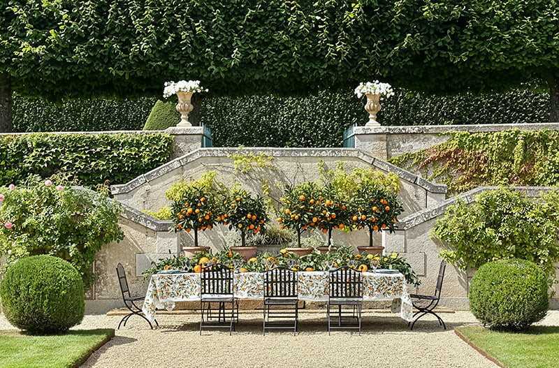 Hello Marmalade Season