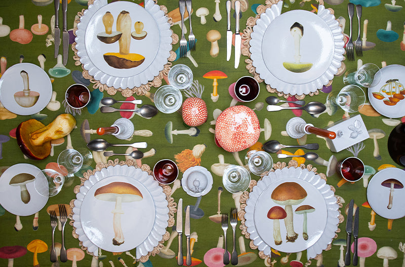 The Magical World of Fungi