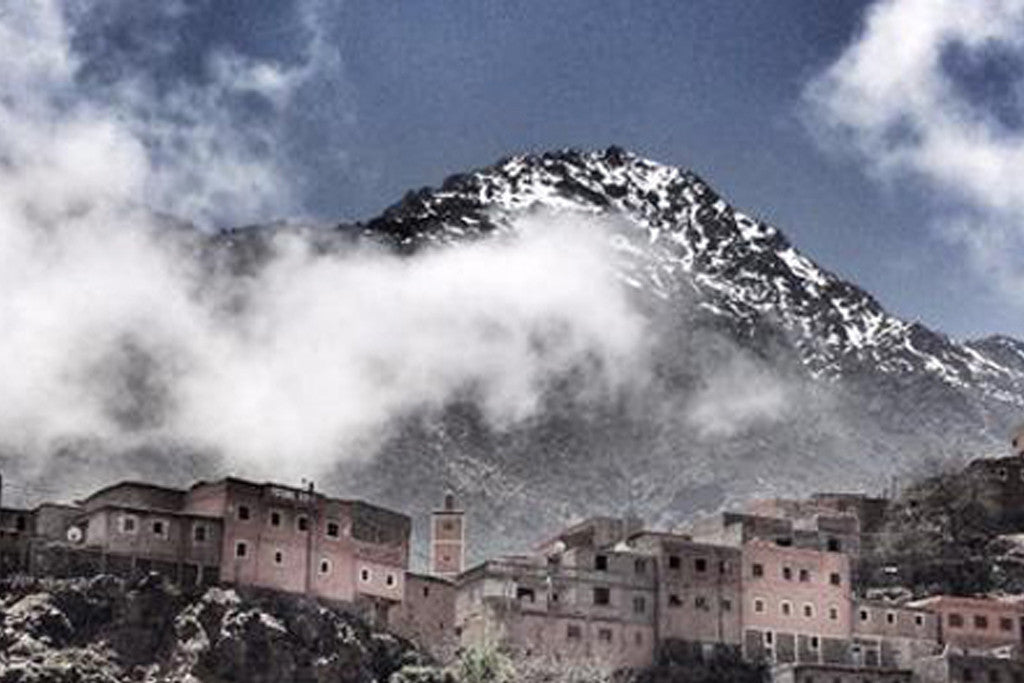 A Lunch With The Gods