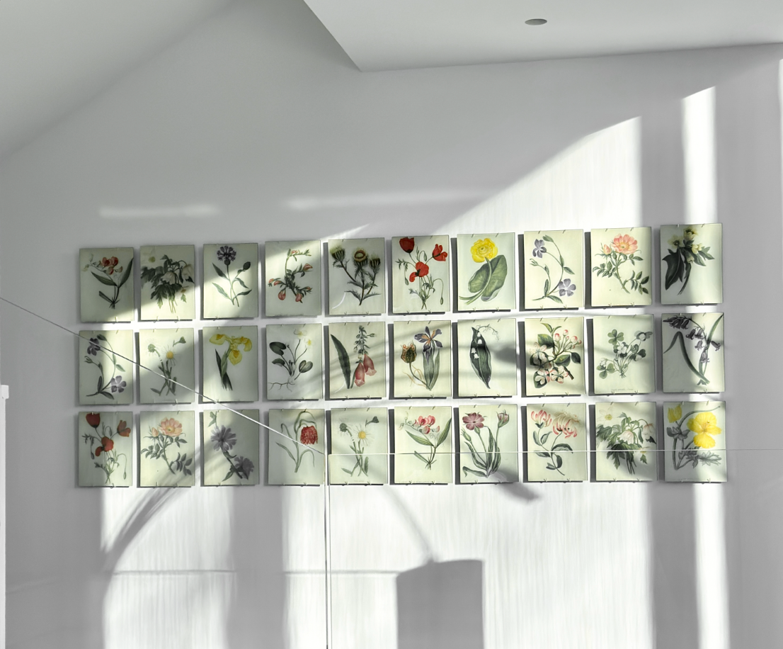 John Derian's Decoupage.