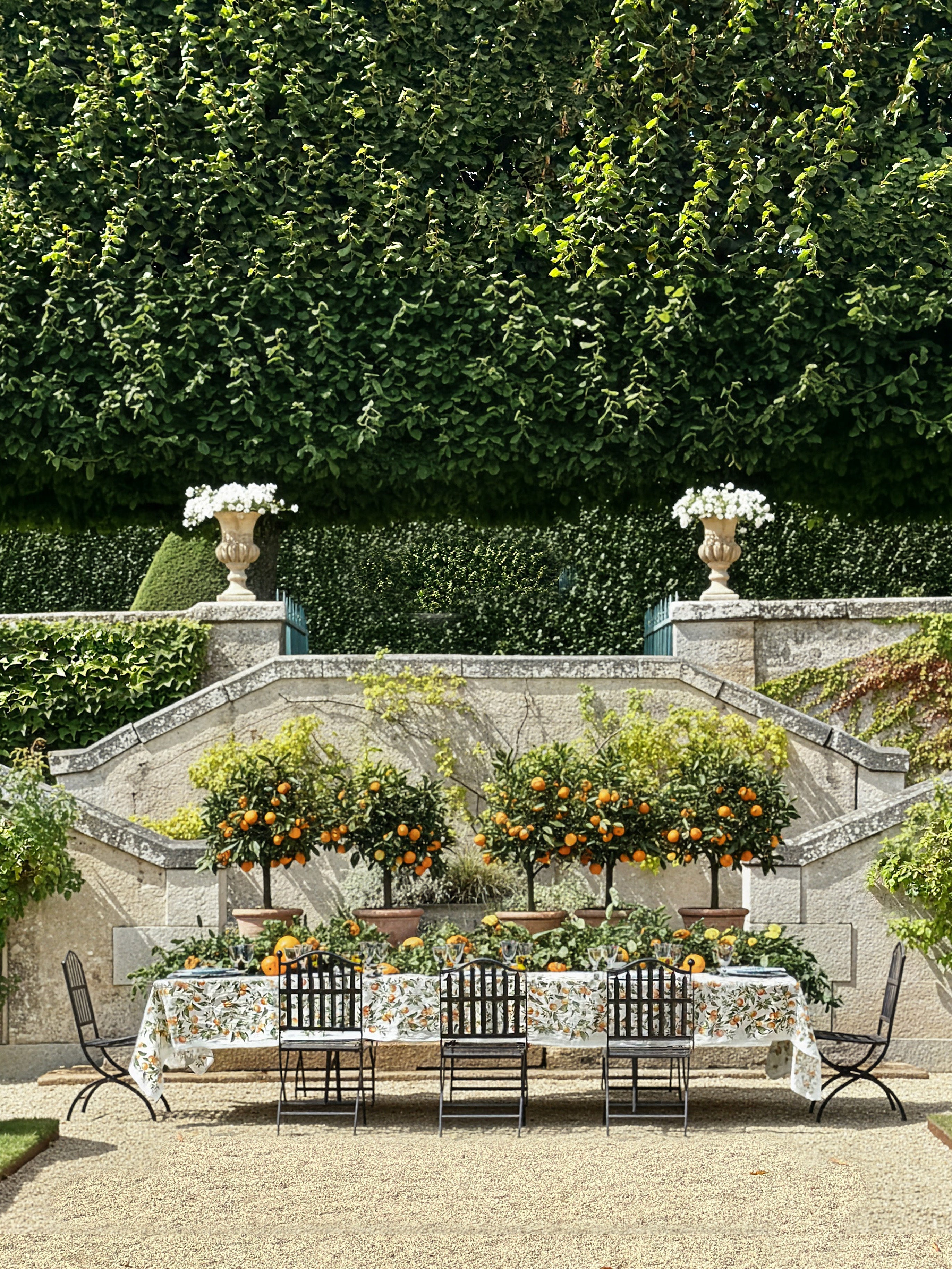 Introducing L’Orangerie 🍊