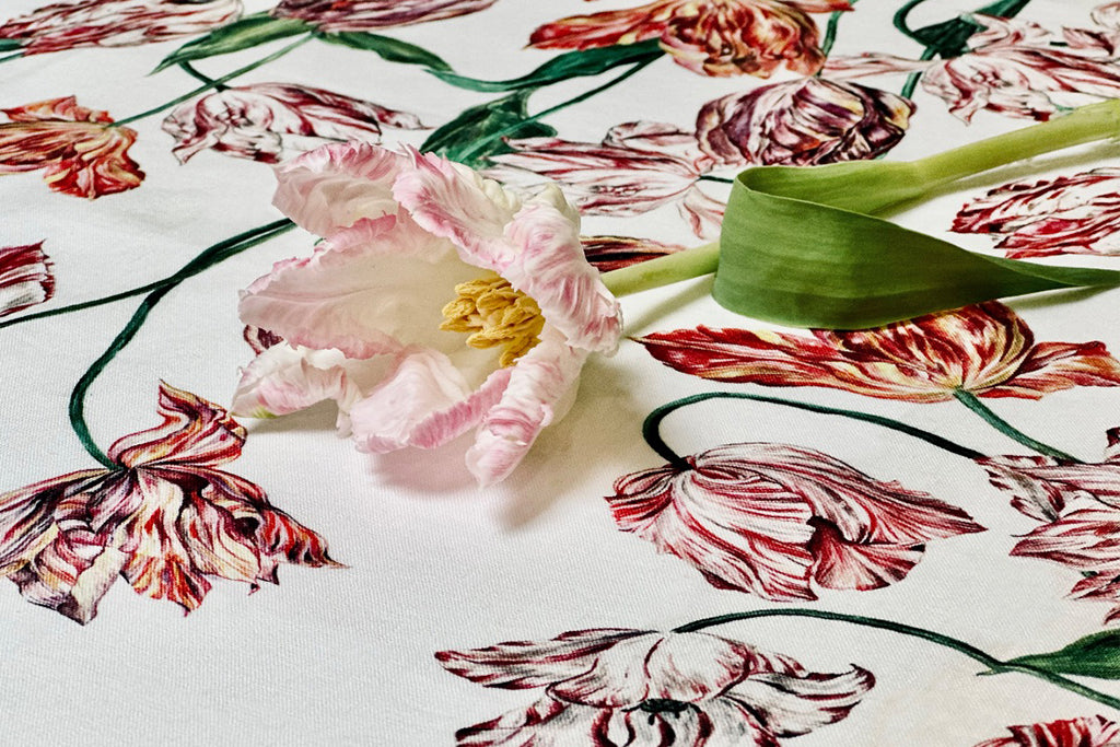 It's time for Tulips again!