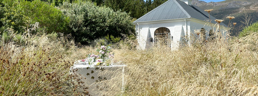 Passiflora Tablescape