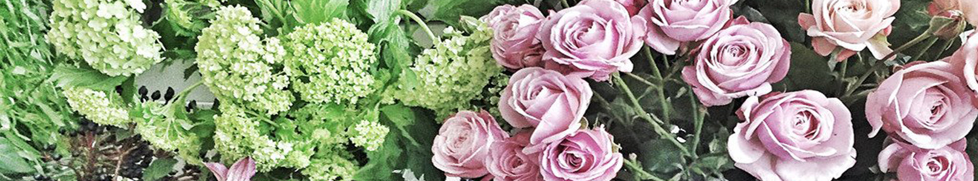 Gifts for your Loved Ones