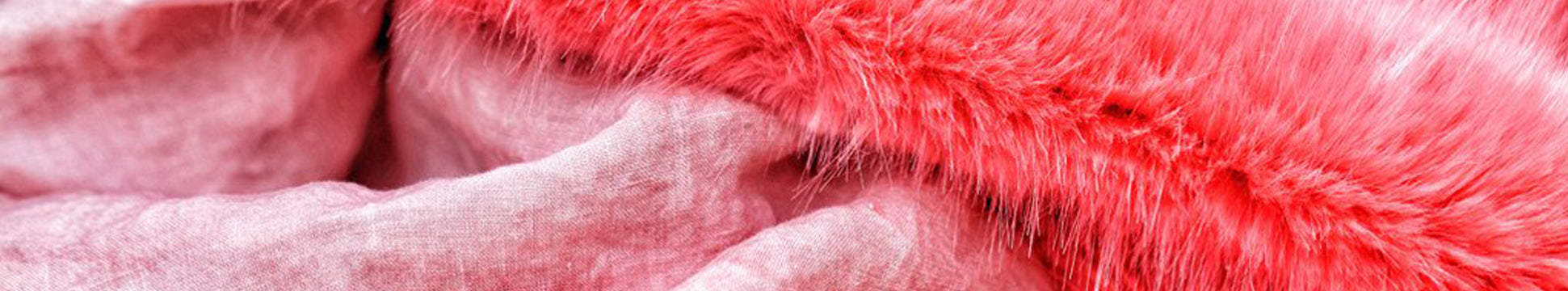 Summerill & Bishop x Shrimps