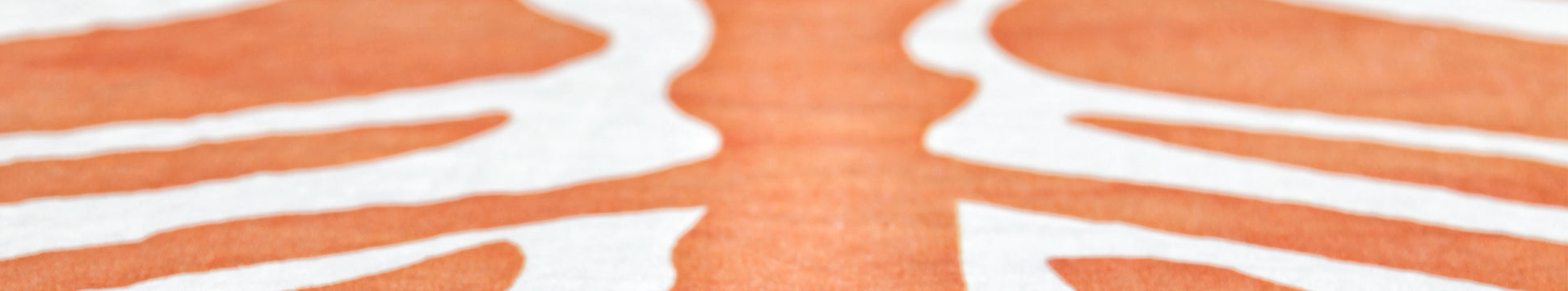 S&B for MatchesFashion - Zebra