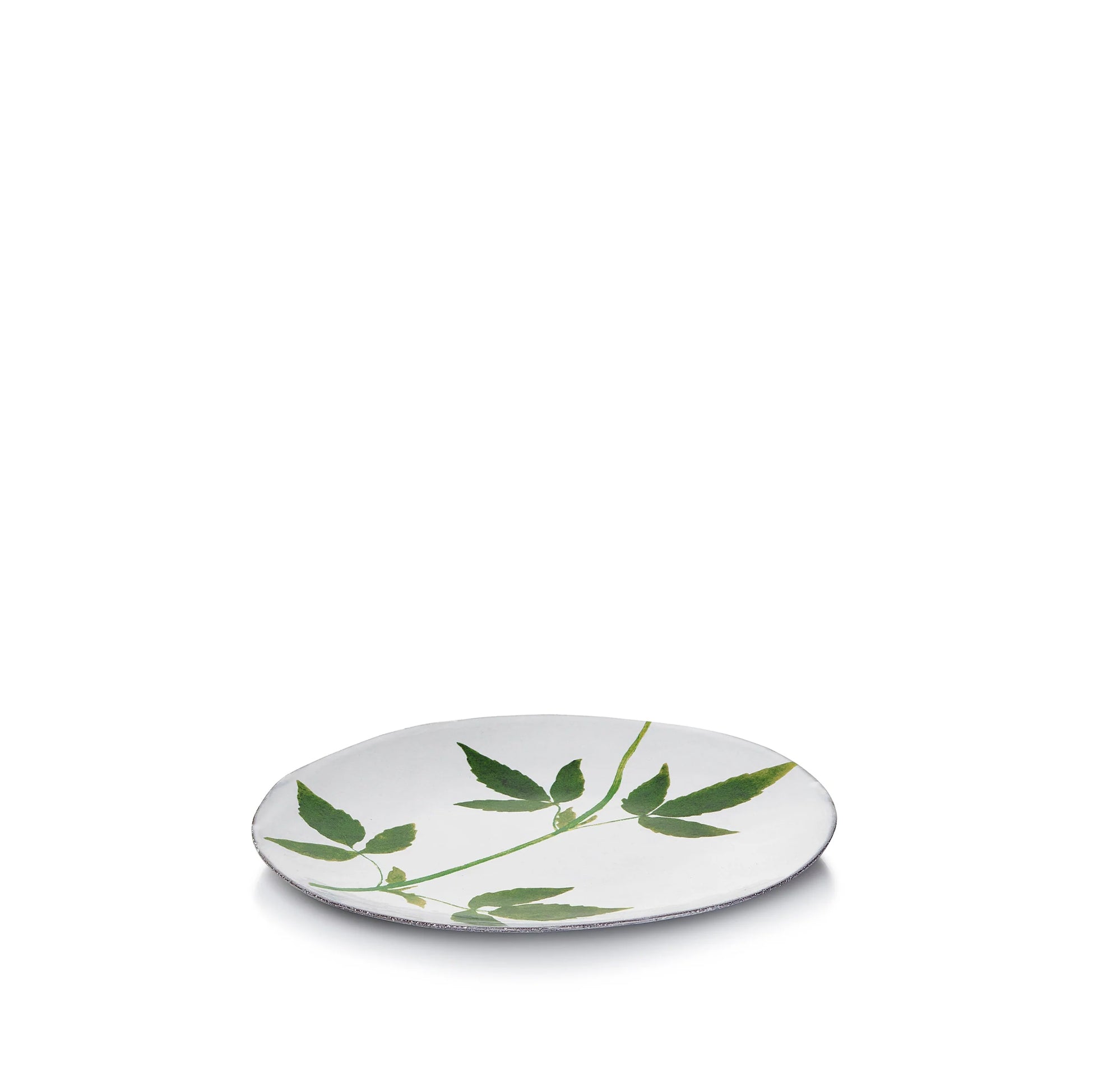 Drachocephalum Leaf Plate by Astier de Villatte, 24cm