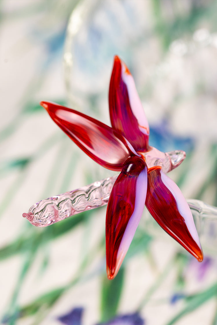 S&B Exclusive Handblown Glass Dragonfly Bowl in Pink