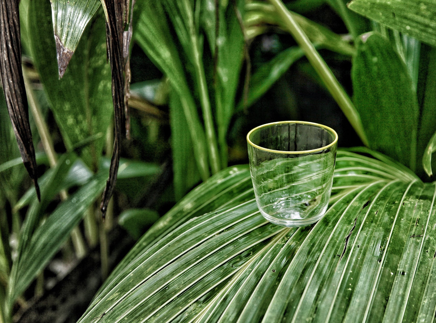 Handblown Clear Bumba Glass Tumbler with Lemon Yellow Rim, 30cl