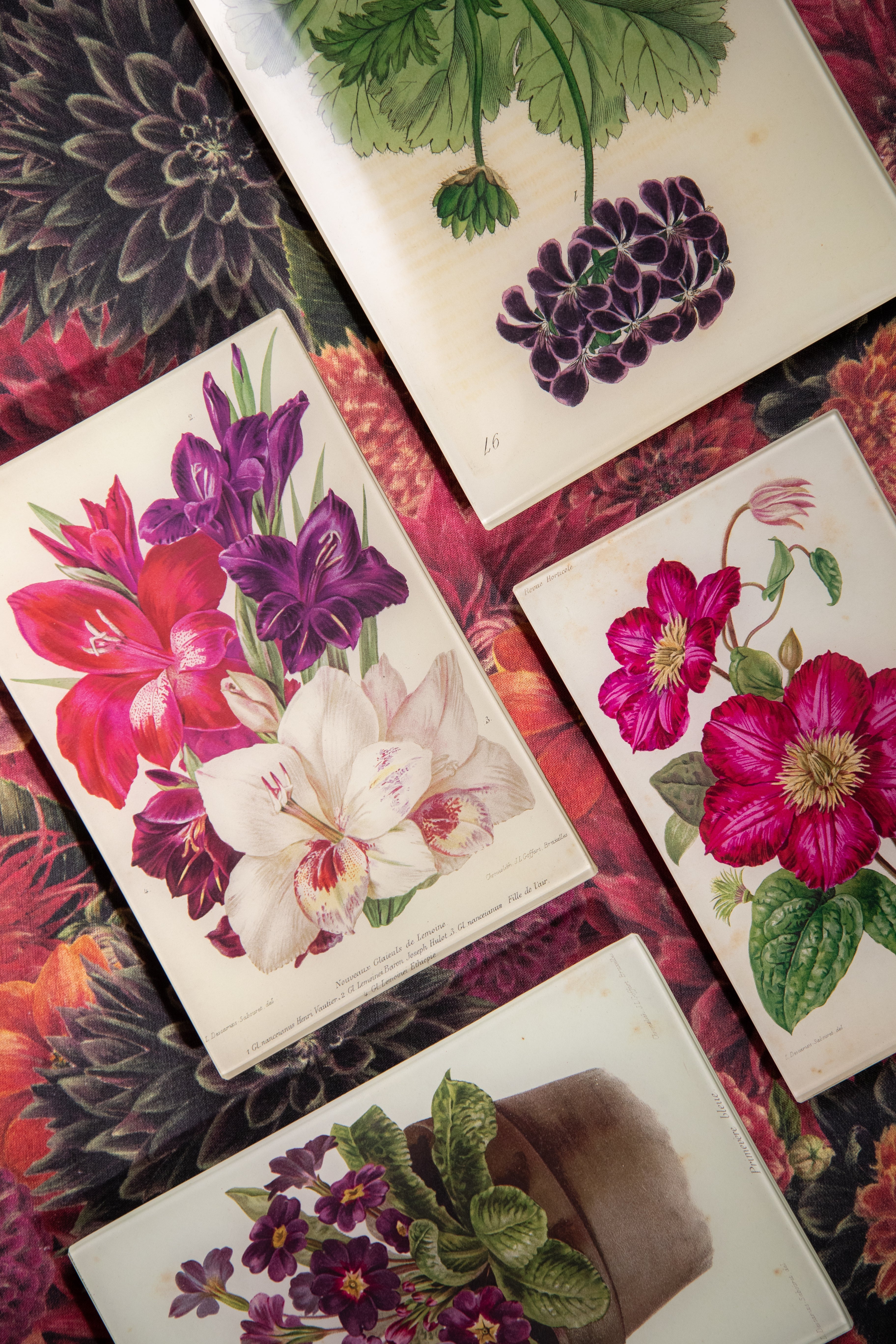 John Derian 'Asters' Tray, 25 x 33cm