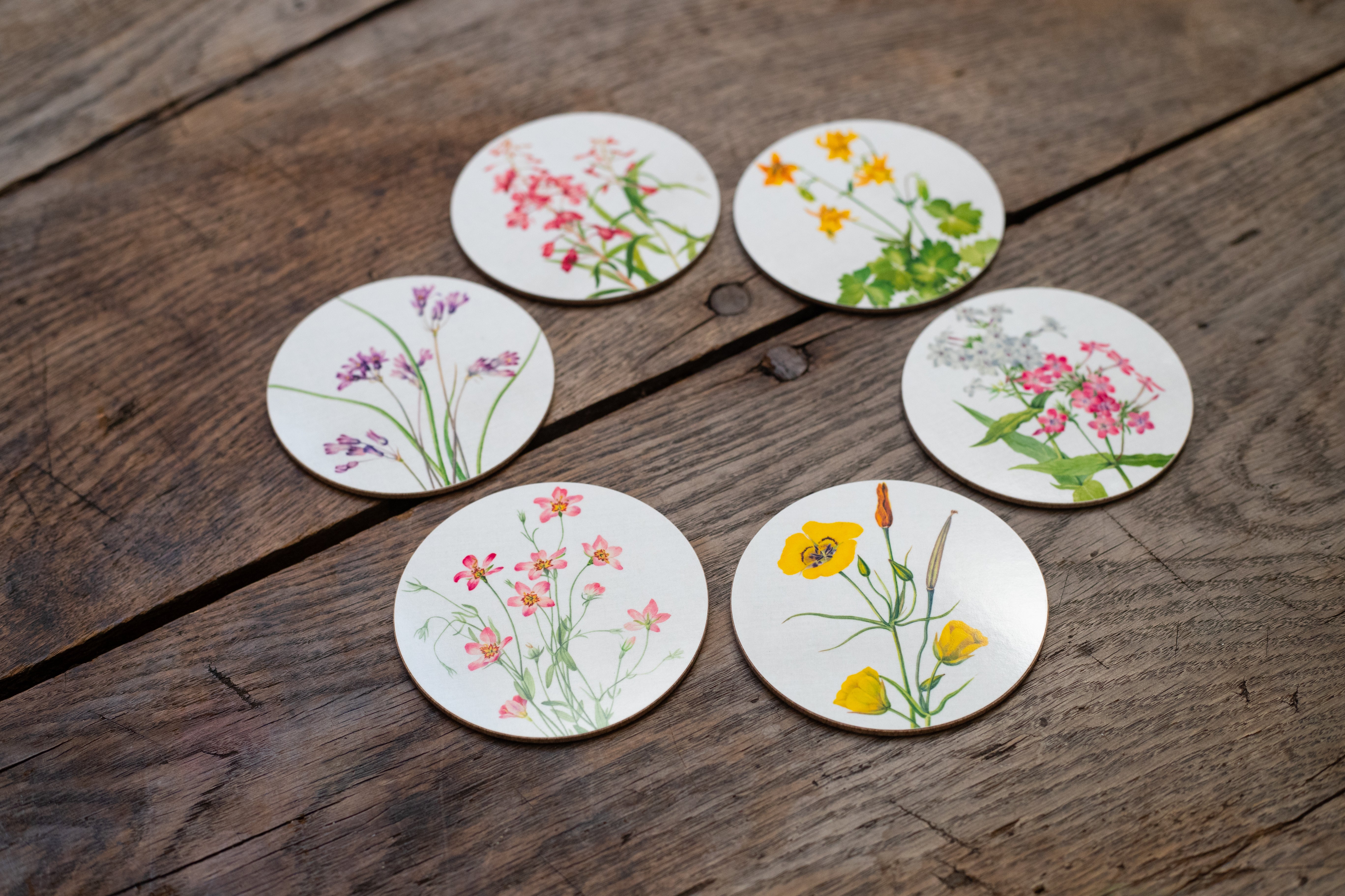 Set of 6 'Our June' Floral Cork-Backed Coasters