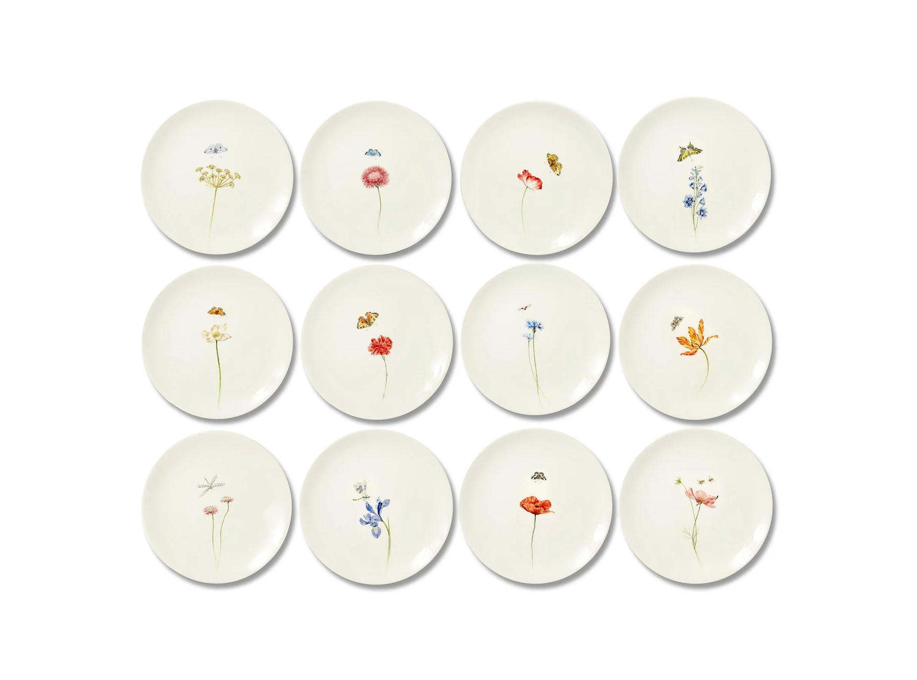 Bloom Cosmos Dinner Plate, 25cm