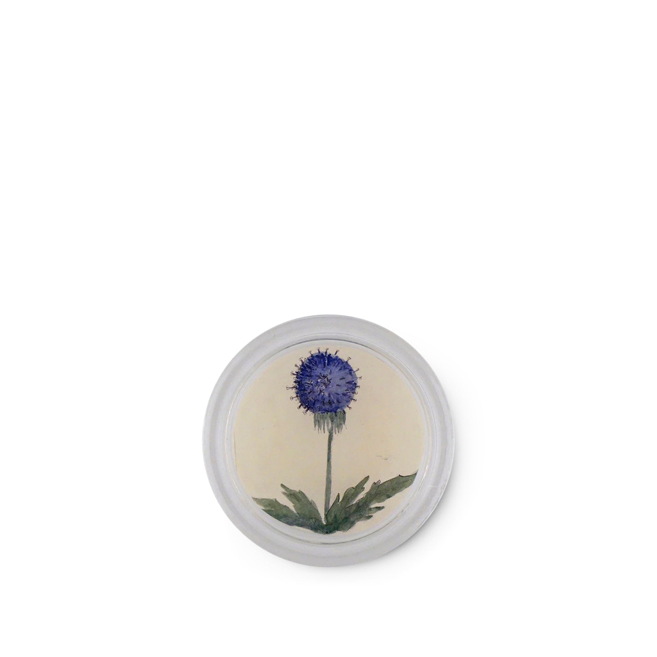 John Derian 'Blue Dandelion' Coaster, 10cm
