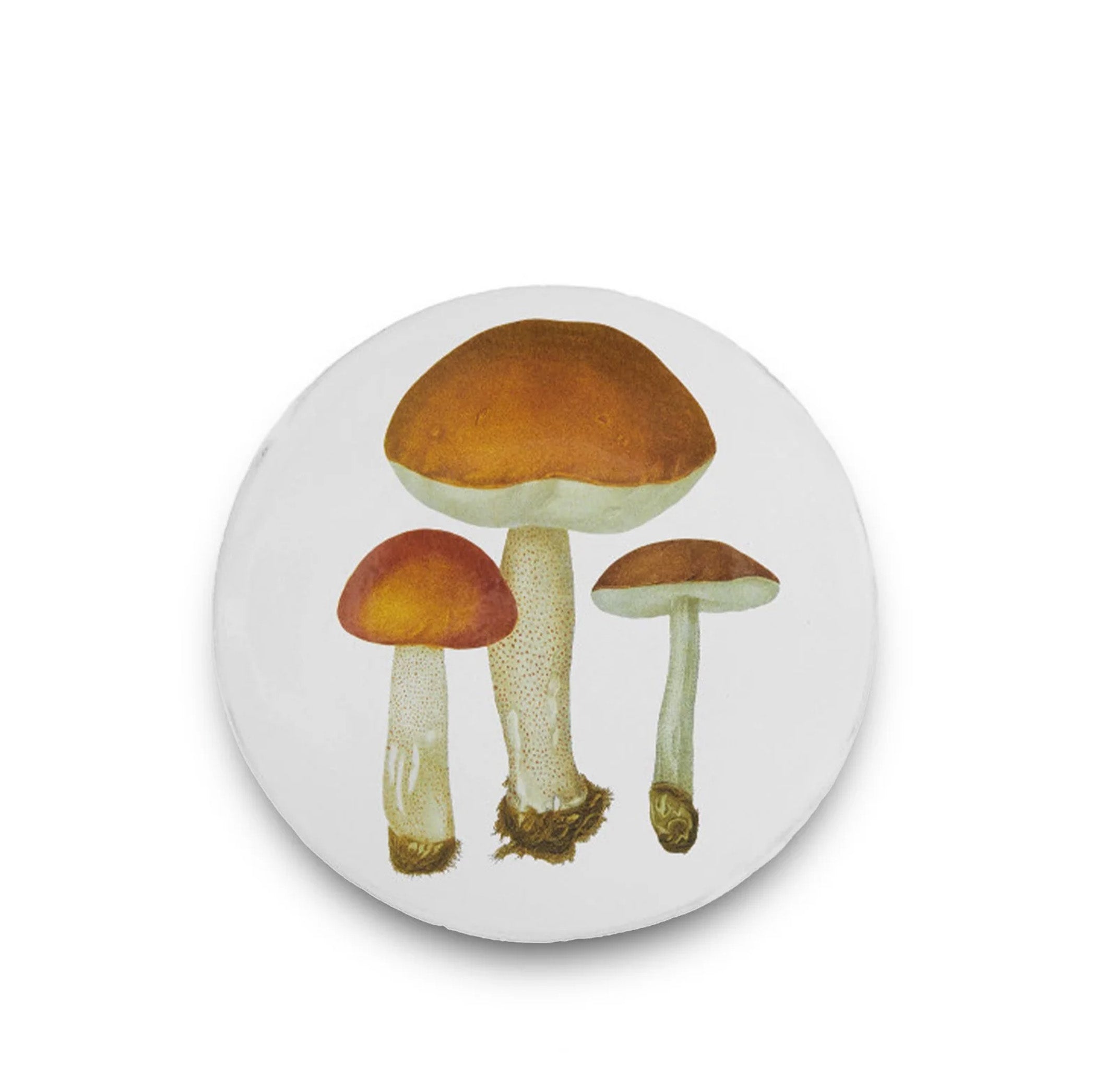 Bolet Rude Mushroom Dinner Plate by Astier de Villatte, 26.5cm