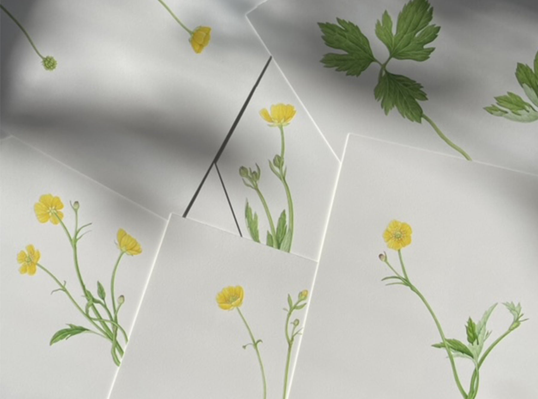 'Buttercup' Linen Tablecloth