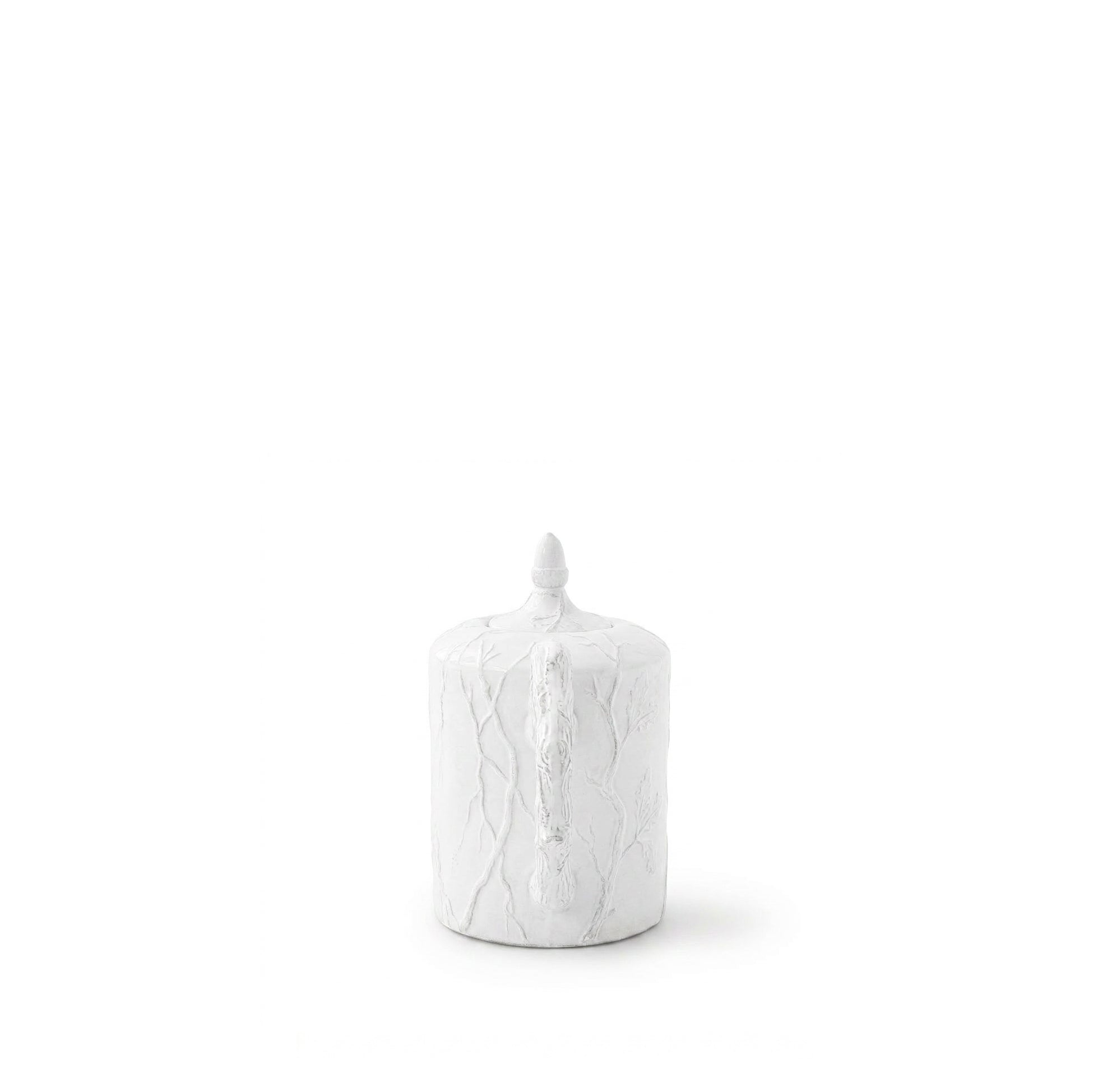 Eva Climbing Branches Tea Pot by Astier de Villatte, 24.5cm