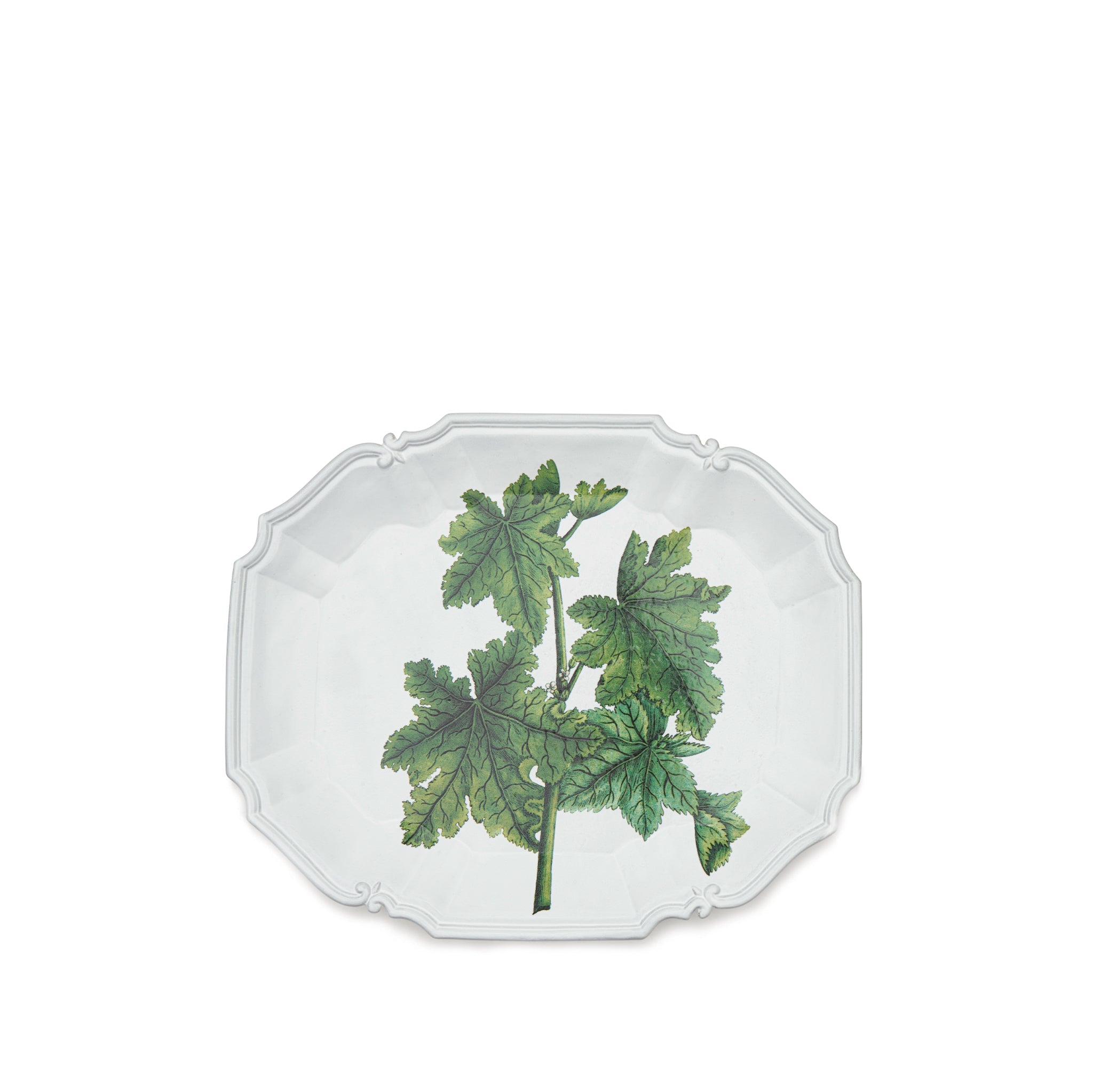 Fern Platter by Astier de Villatte, 40cm