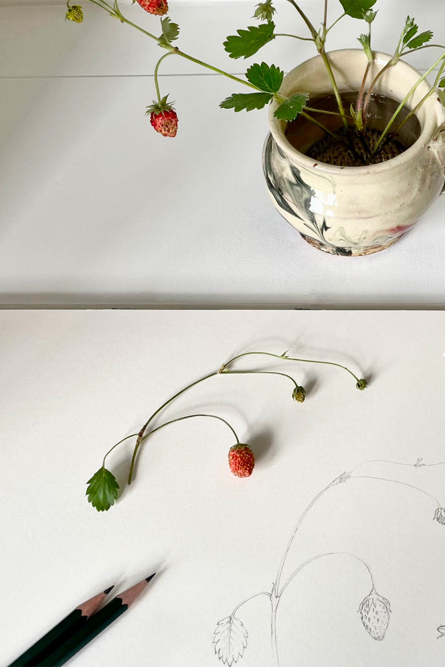 'Fraises des Bois' Linen Tablecloth