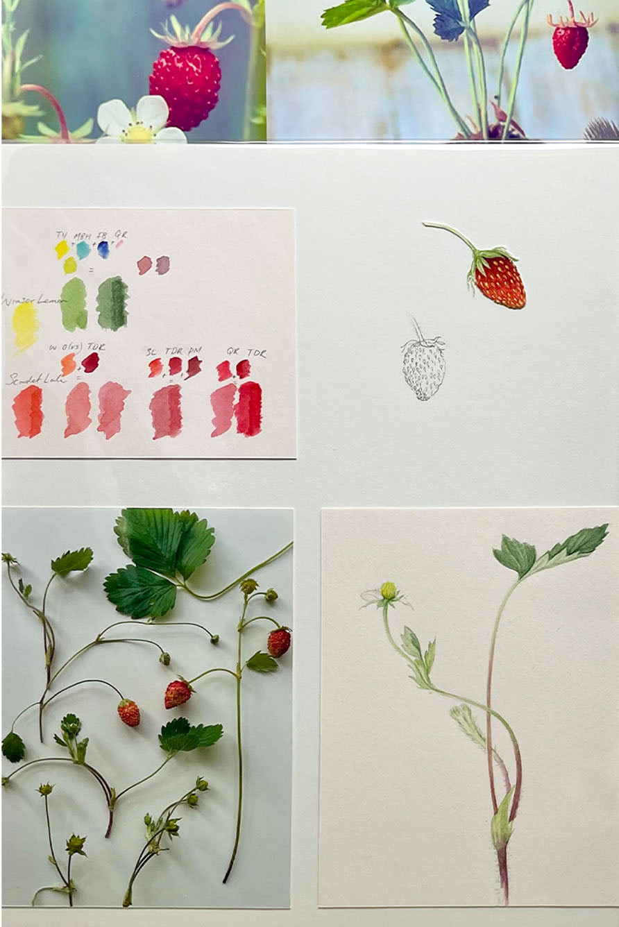 'Fraises des Bois' Linen Tablecloth