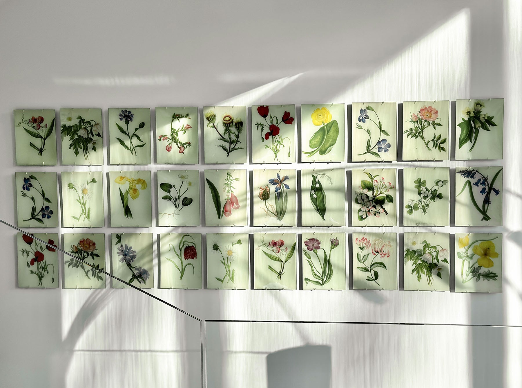 John Derian 'Yellow Iris' Rectangular Tray, 20 x 27cm