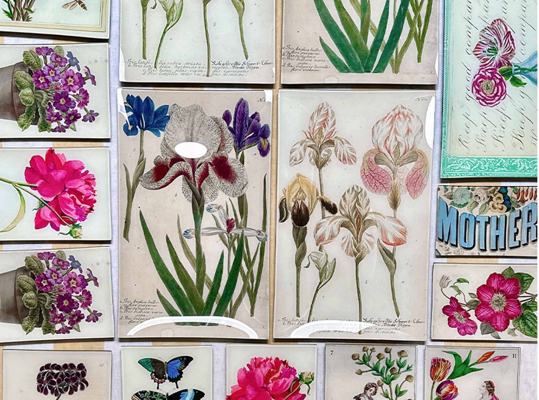 John Derian 'Wood Anemone' Rectangular Tray, 20 x 27cm