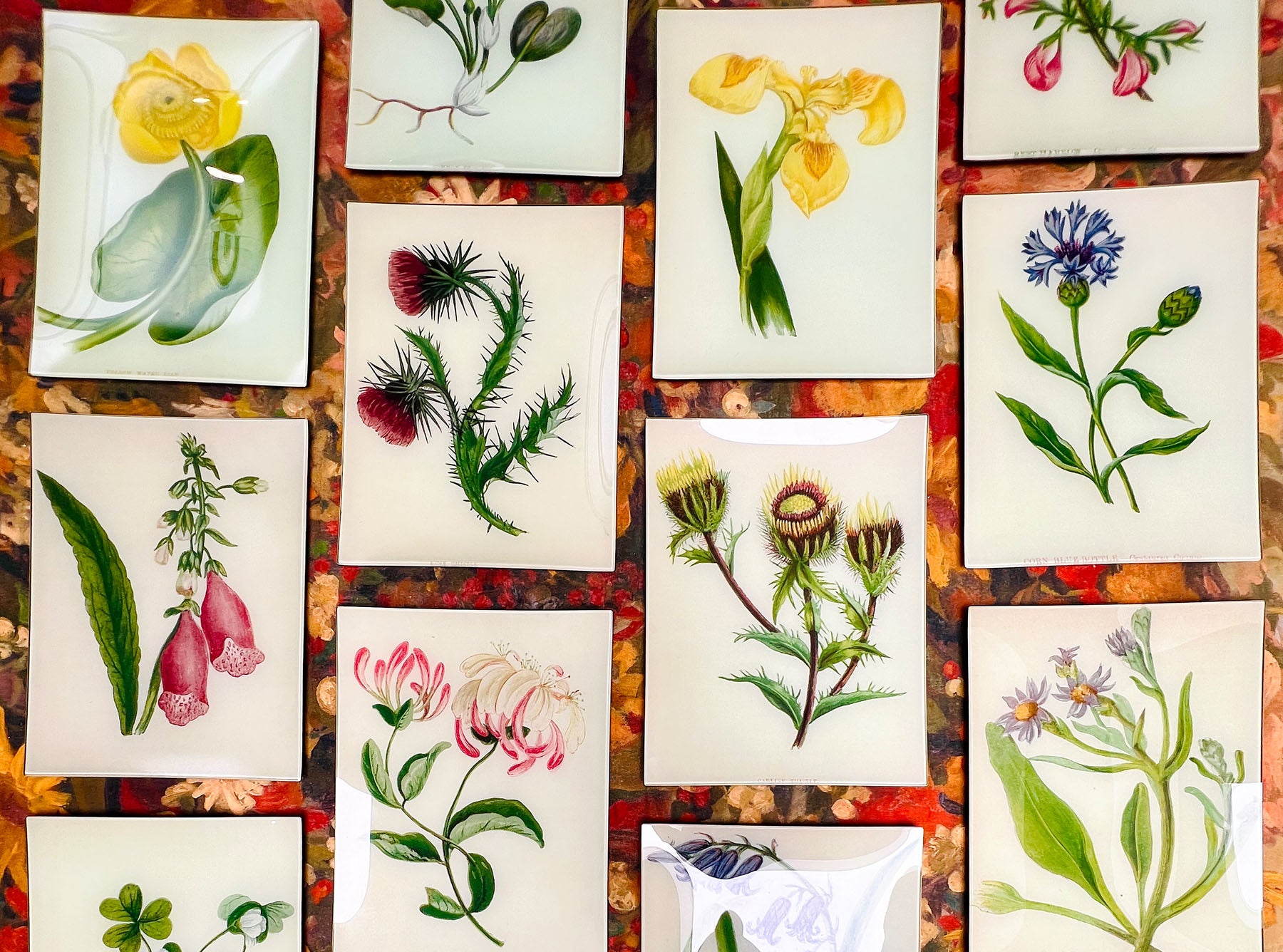 John Derian 'Yellow Iris' Rectangular Tray, 20 x 27cm