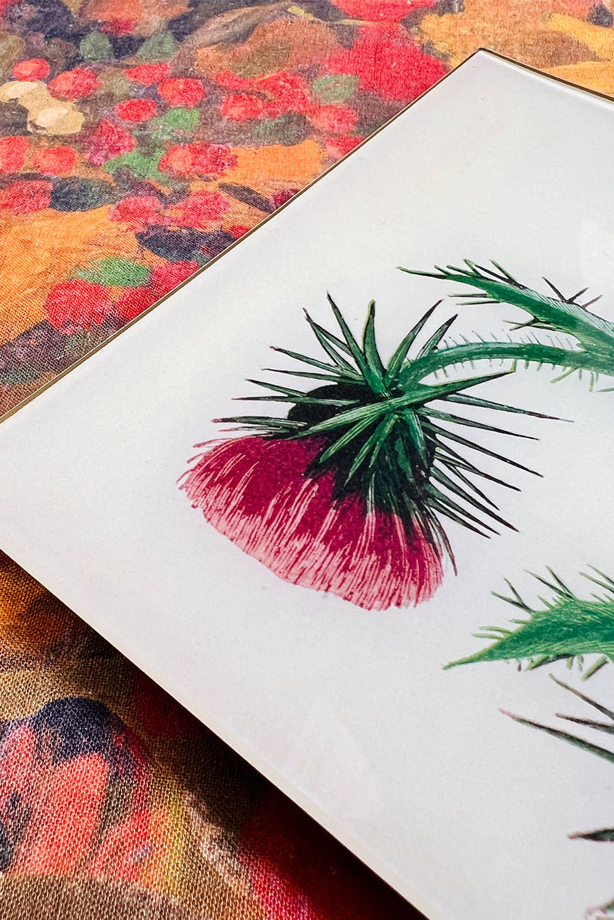 John Derian 'Musk Thistle' Rectangular Tray, 20 x 27cm