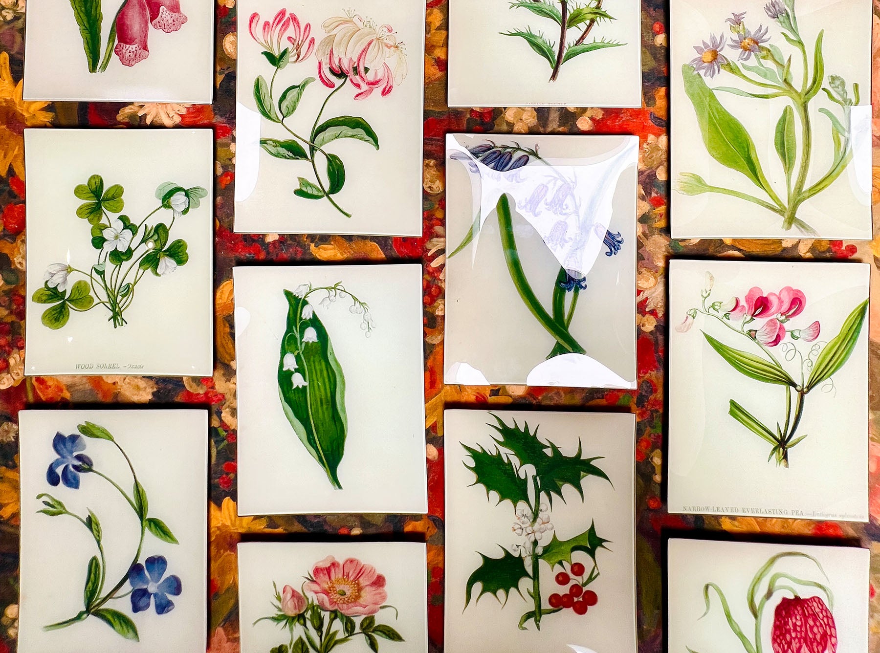 John Derian 'Lily of the Valley' Rectangular Tray, 20 x 27cm