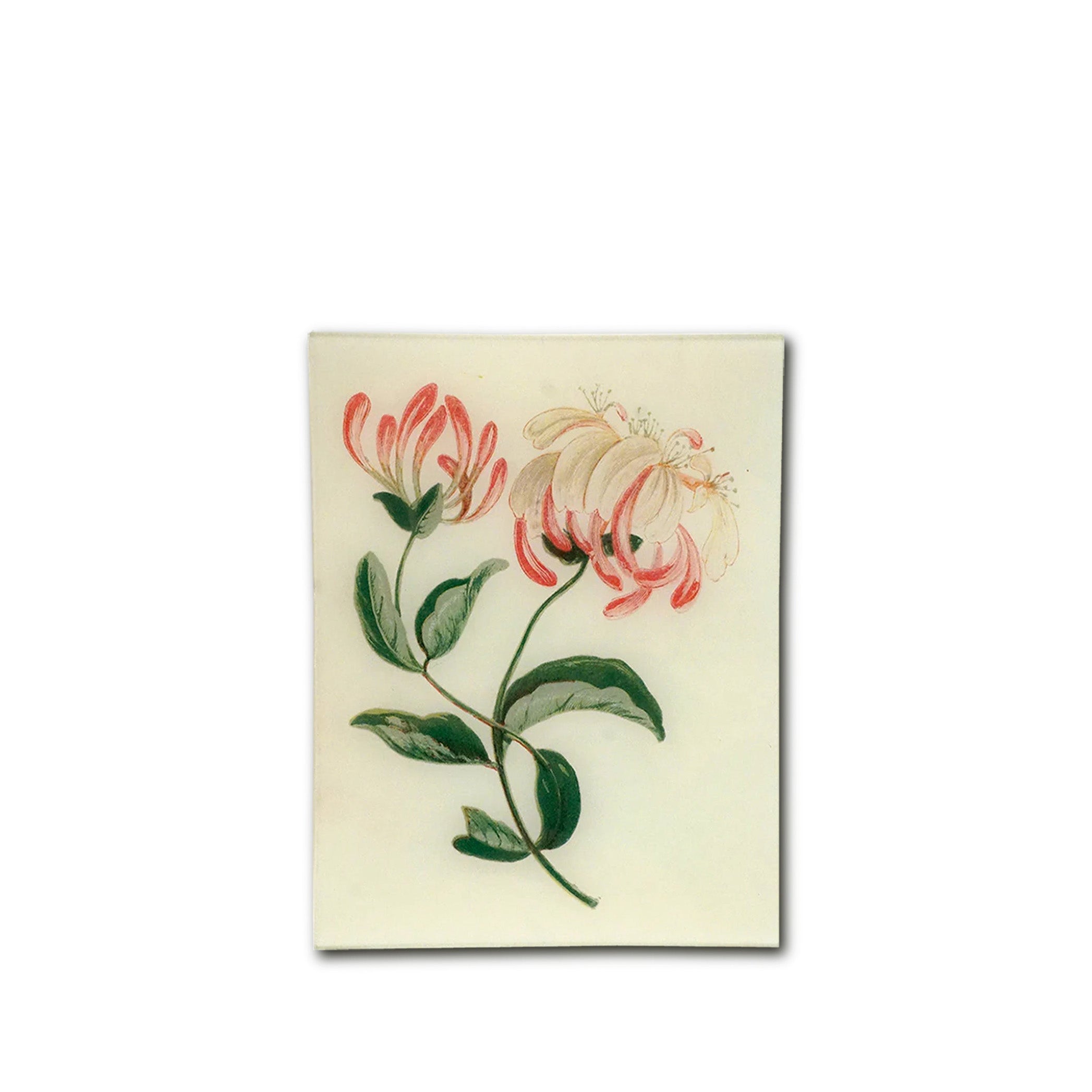 John Derian 'Honeysuckle' Rectangular Tray, 20 x 27cm