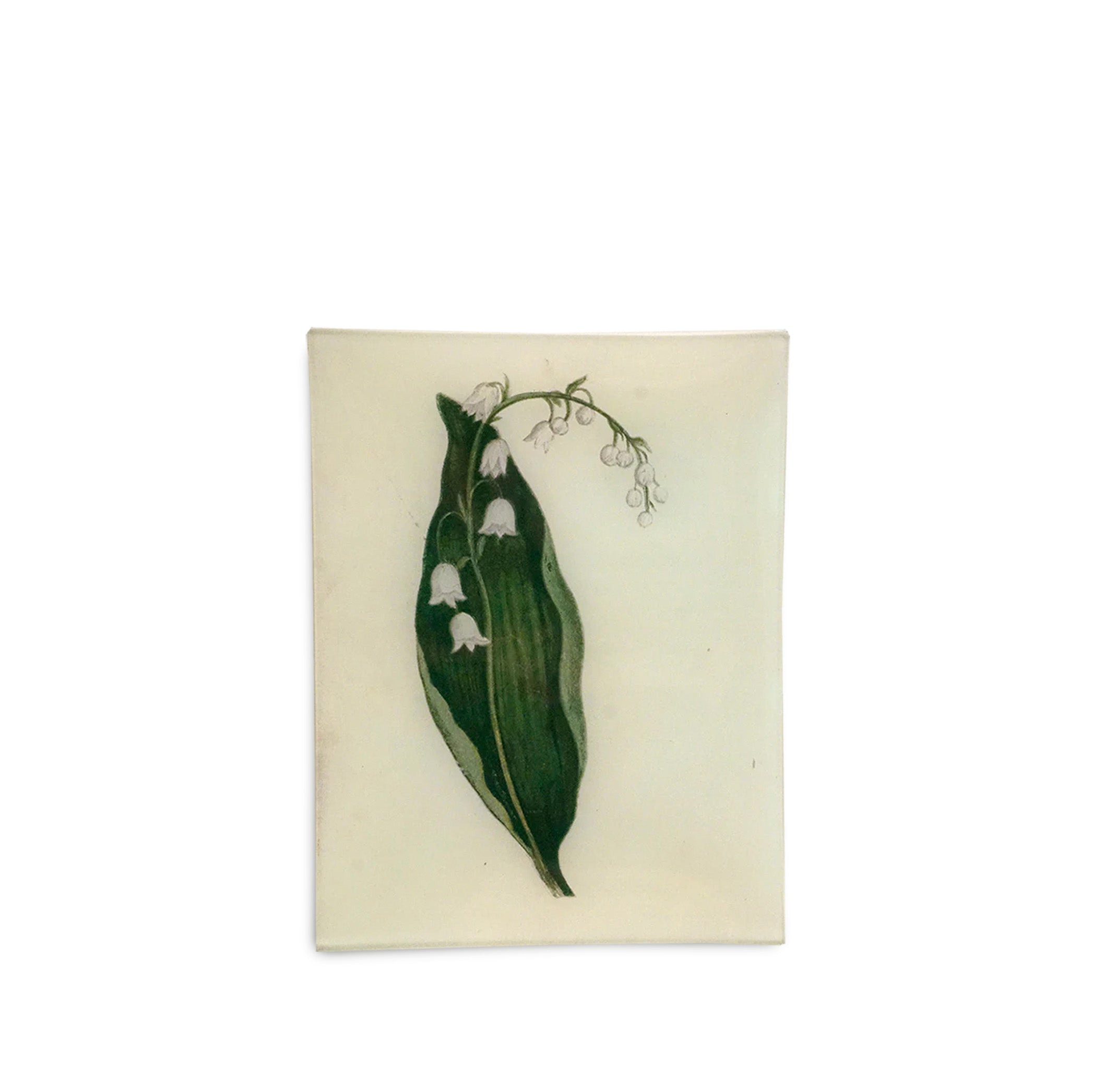 John Derian 'Lily of the Valley' Rectangular Tray, 20 x 27cm