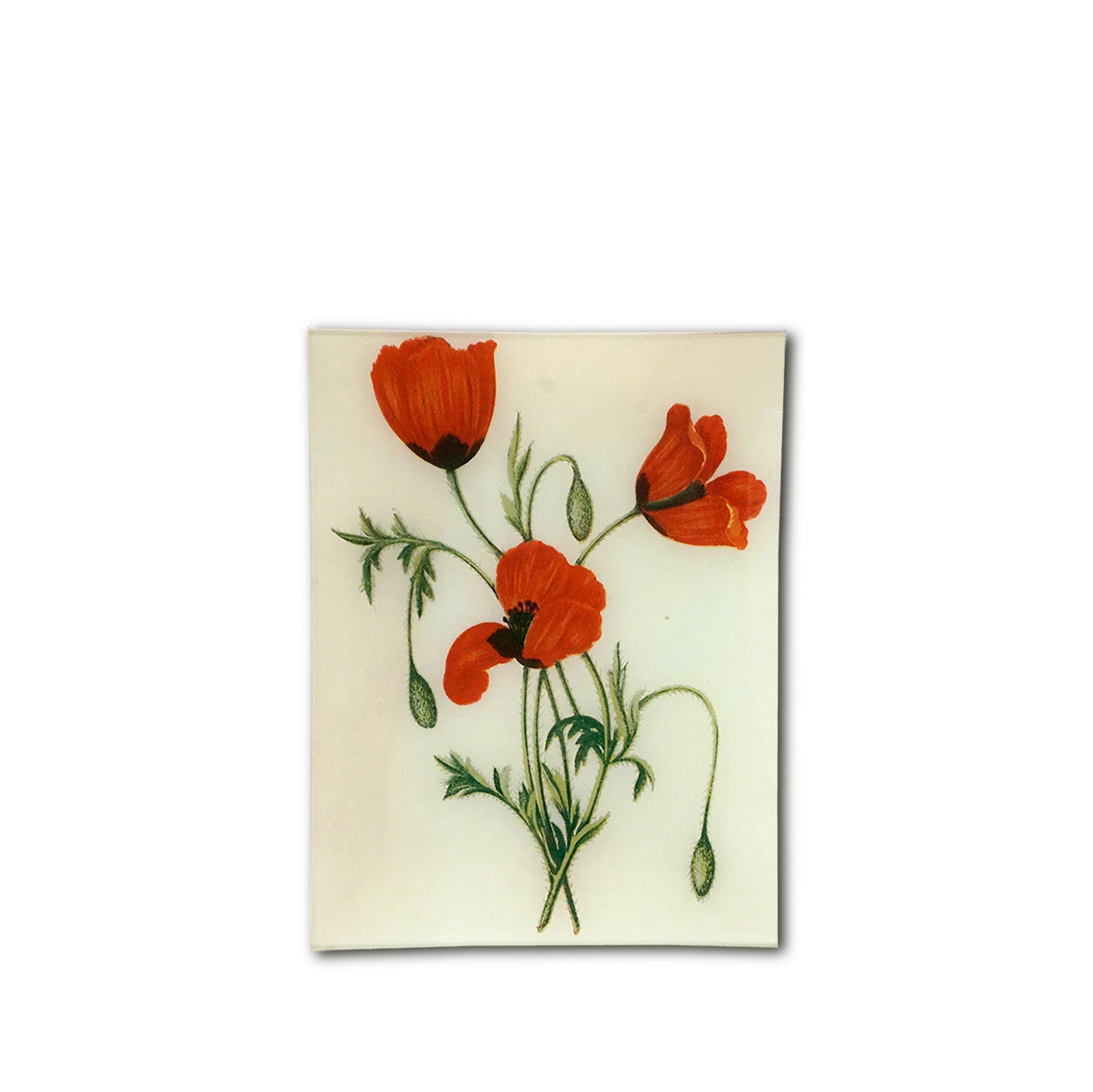 John Derian 'Long Prickly-Headed Poppy' Rectangular Tray, 20 x 27cm