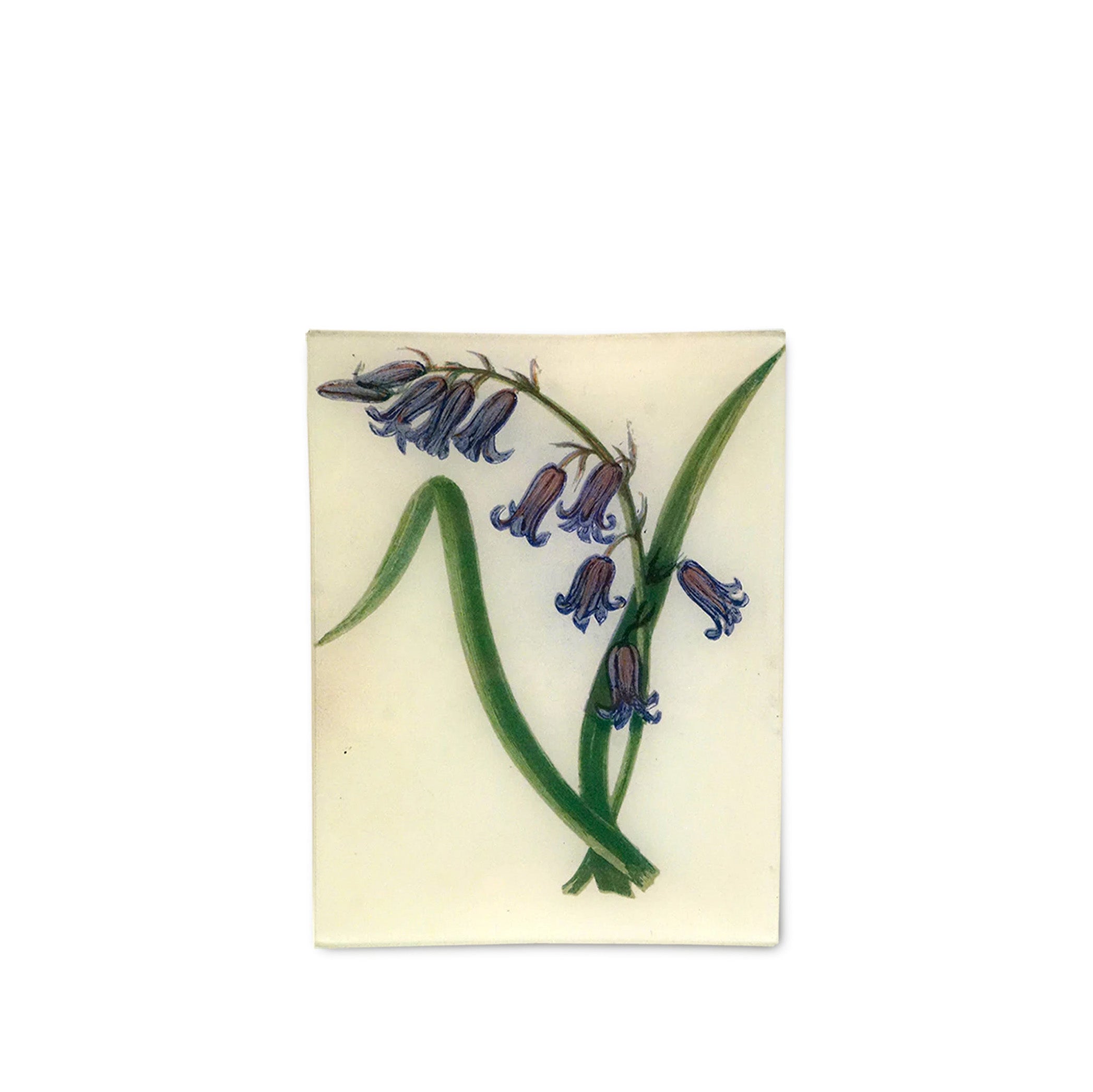 John Derian 'Wild Hyacinth' Rectangular Tray, 20 x 27cm