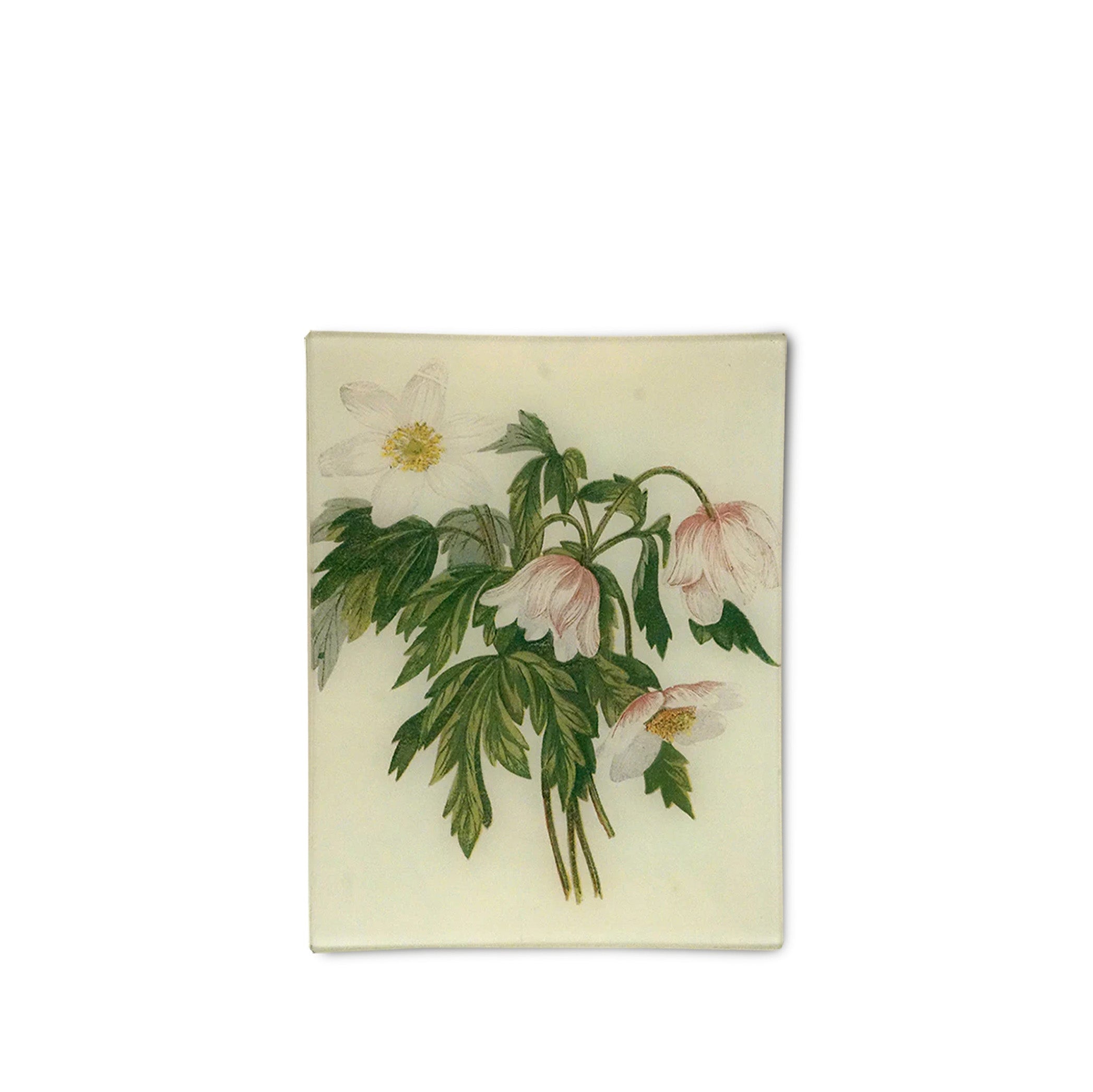 John Derian 'Wood Anemone' Rectangular Tray, 20 x 27cm
