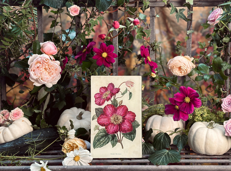 John Derian 'Peony III' Rectangular Tray, 15 x 23cm