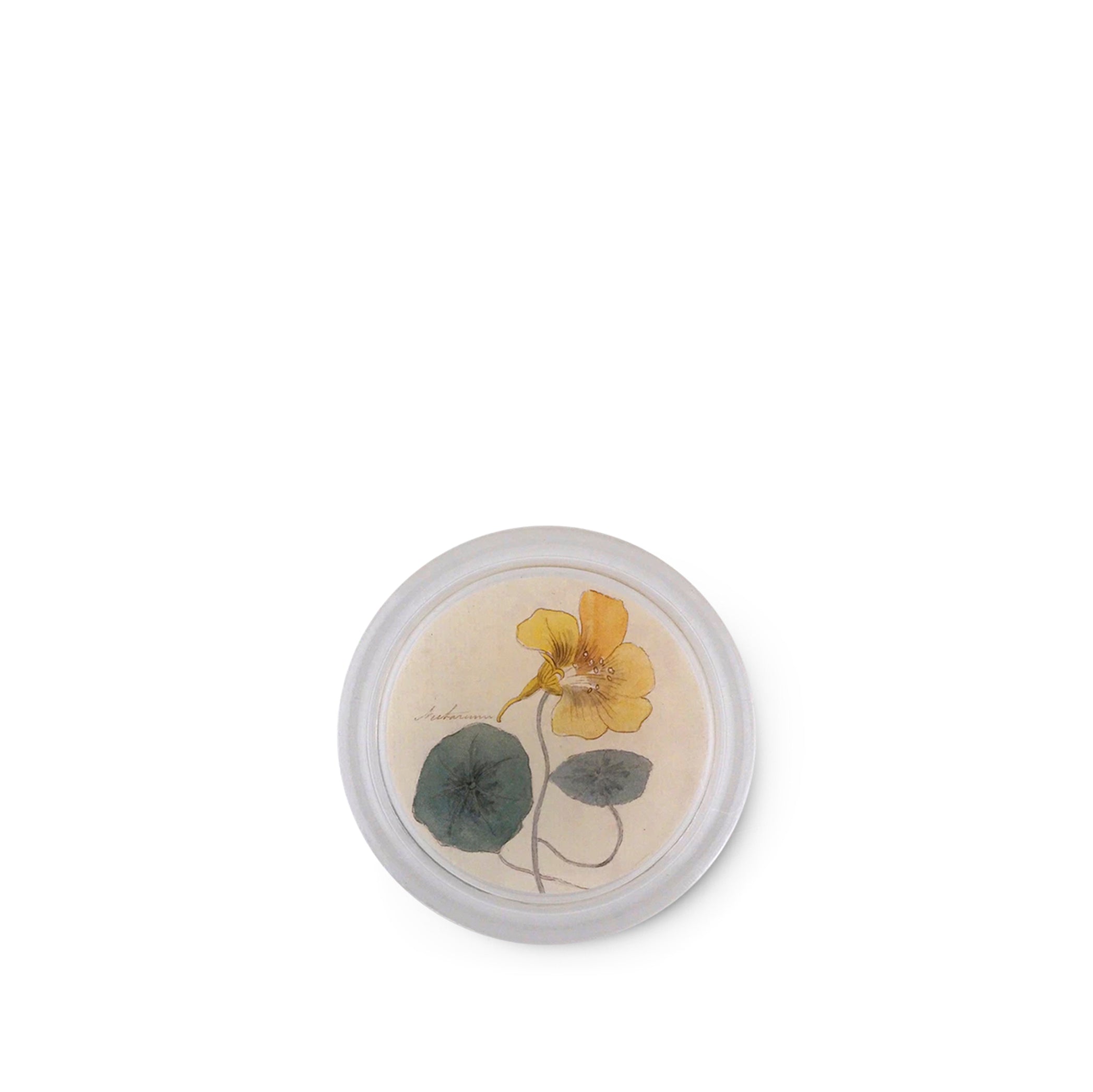 John Derian 'Nasturtium' Coaster, 10cm