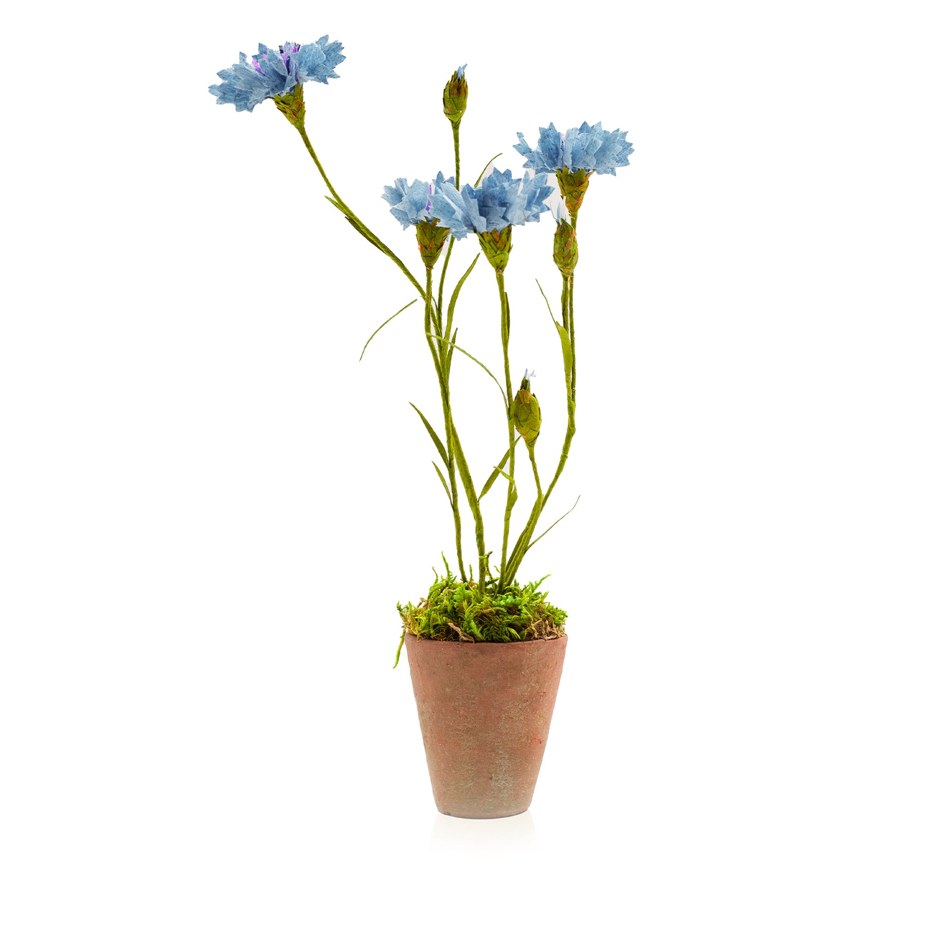 Blue Cornflower Paper Flowers & Clay Pot