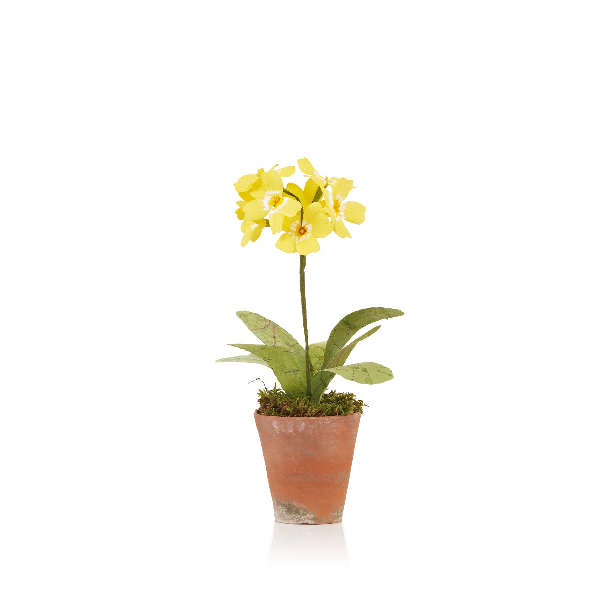 Yellow Primula Paper Flowers & Clay Pot