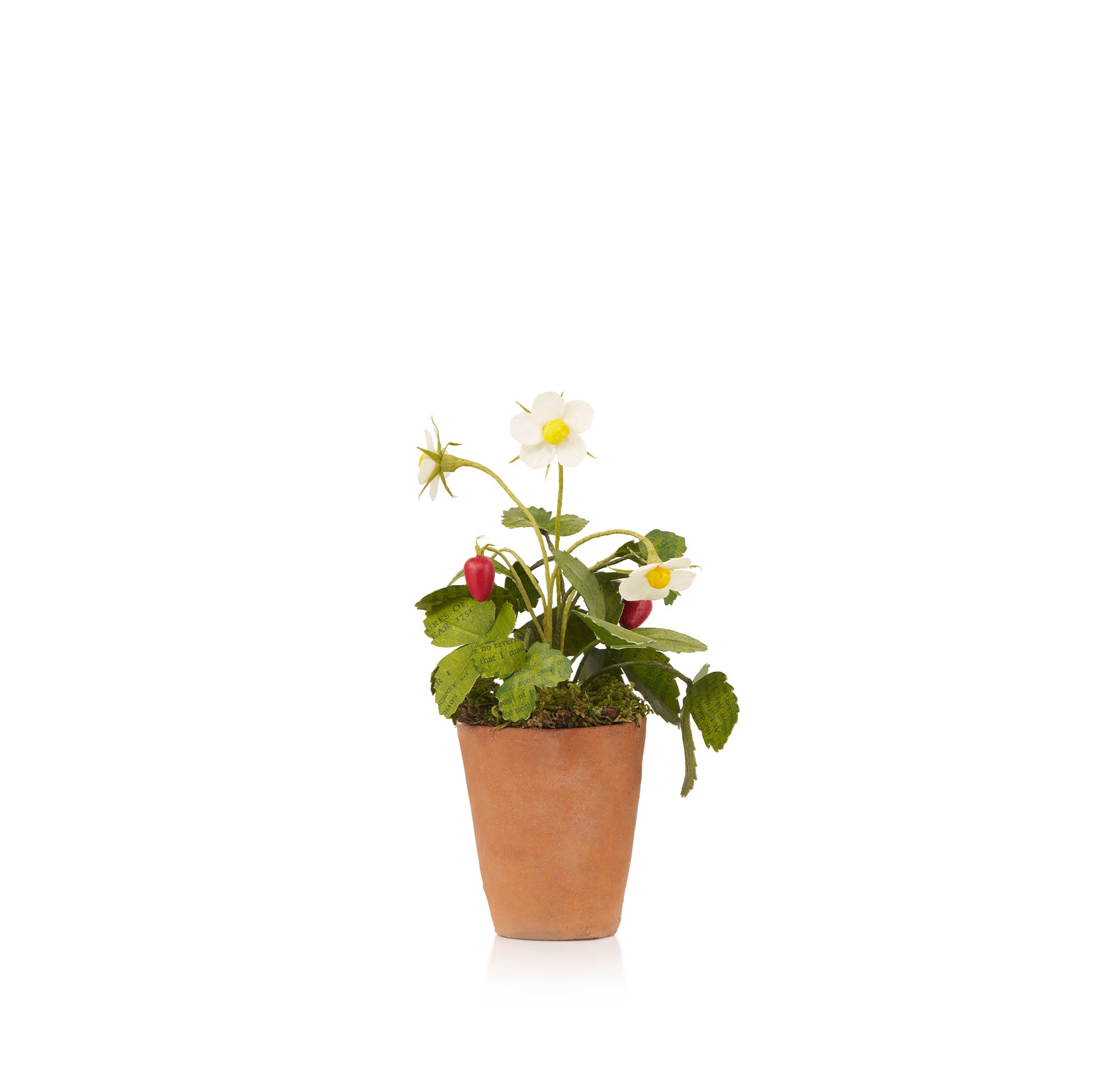 Strawberries Paper Flowers & Clay Pot
