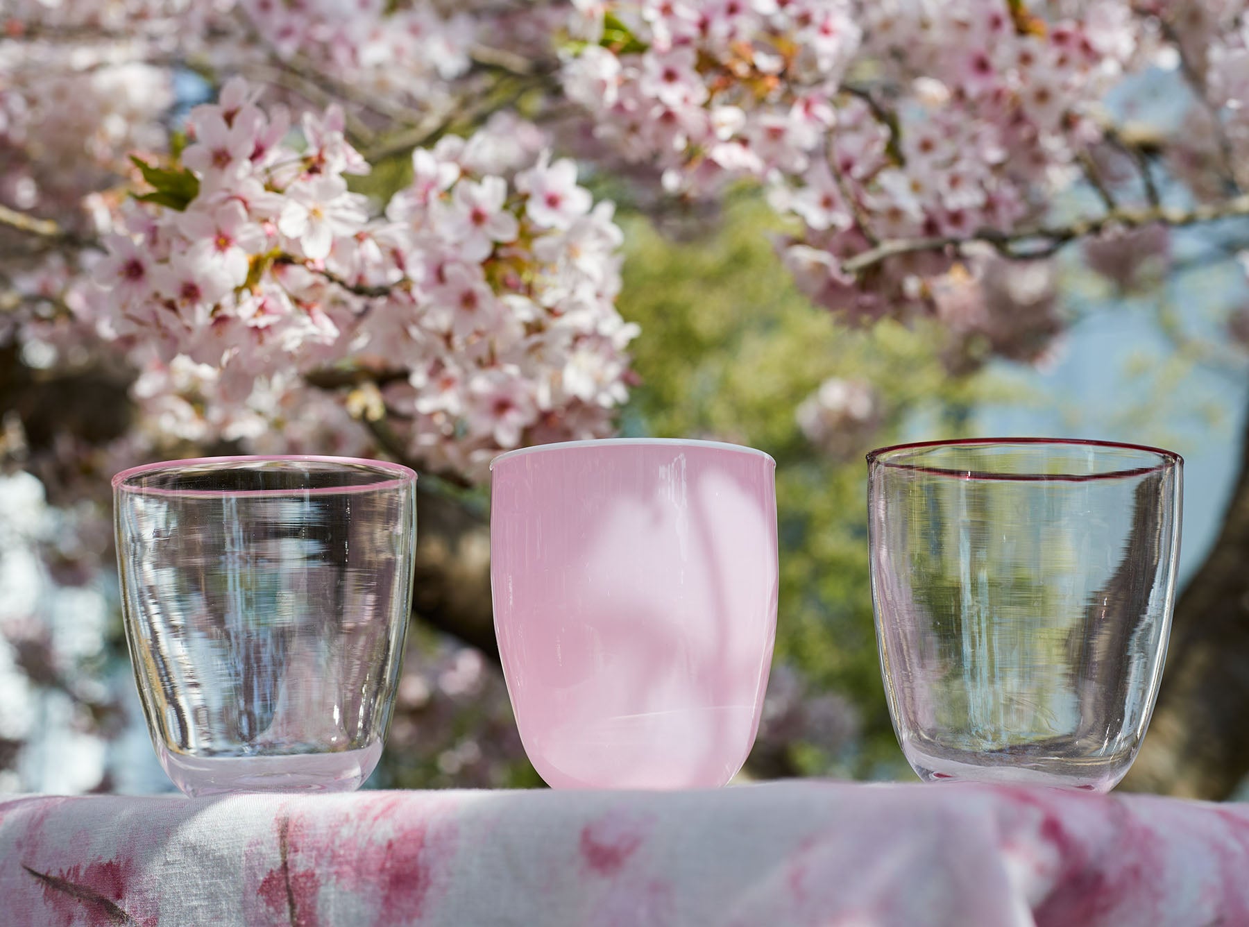 Handblown Clear Bumba Glass Tumbler with Rose Pink Rim, 30cl