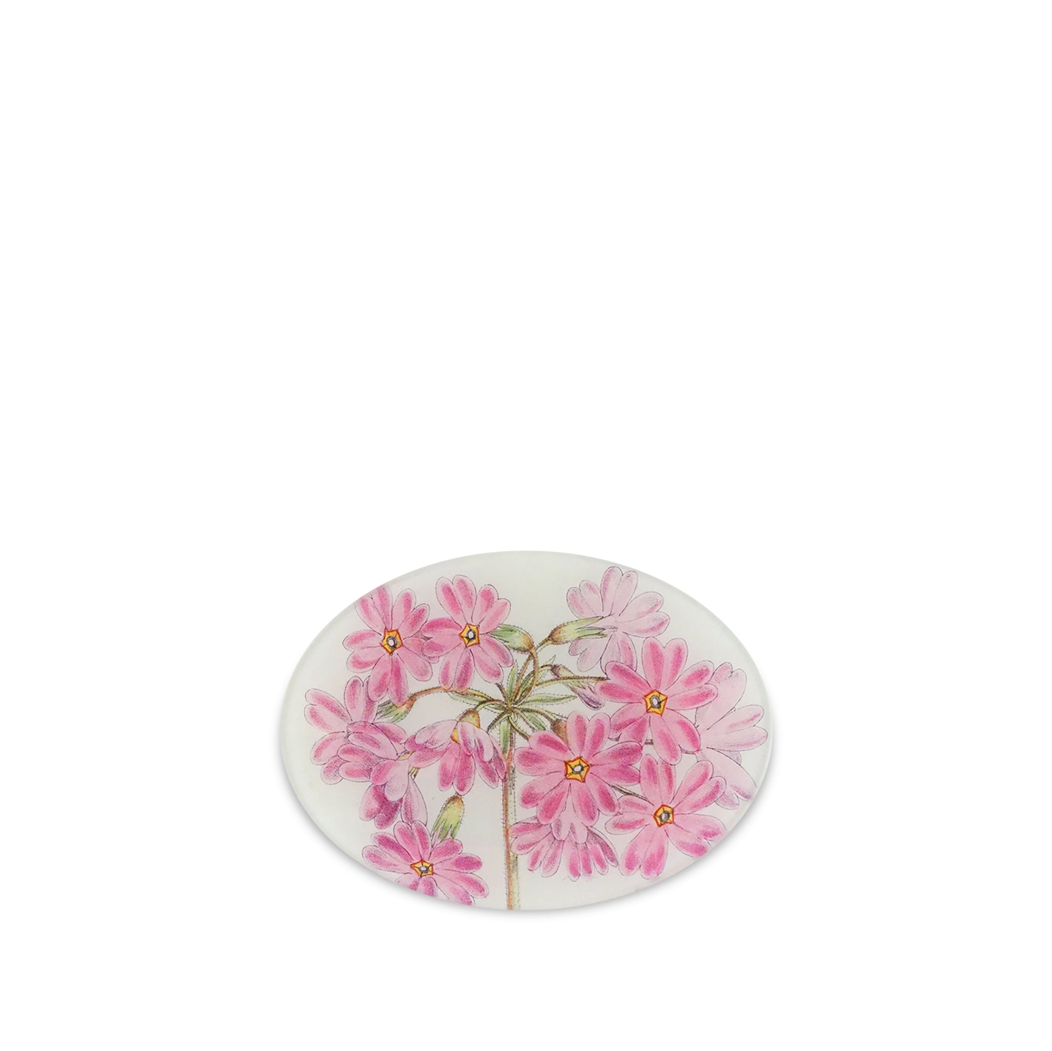 John Derian Primula Veitchii Oval Decorative Platter, 13 x 18cm