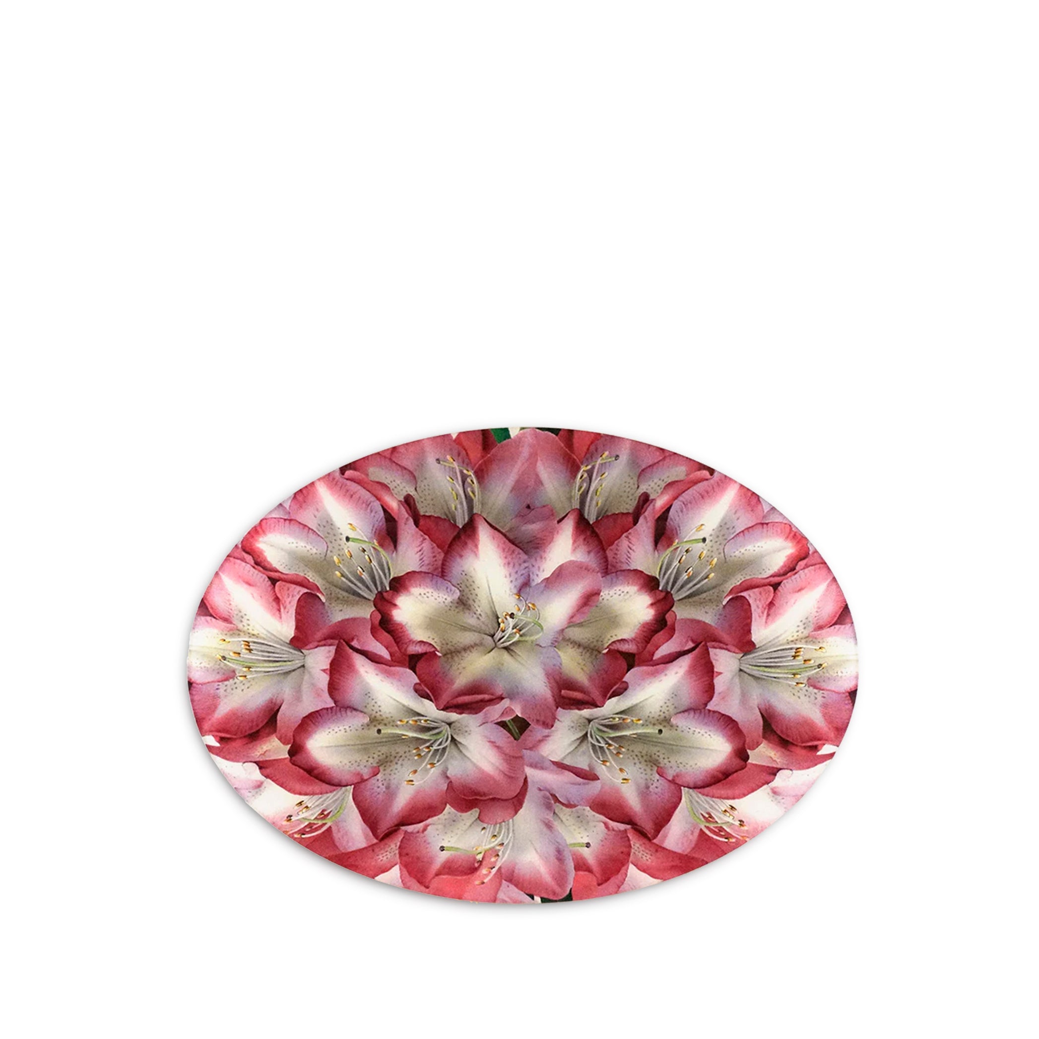 John Derian 'Rhododendron Princess of Wales' Oval Tray, 33 x 45.5cm