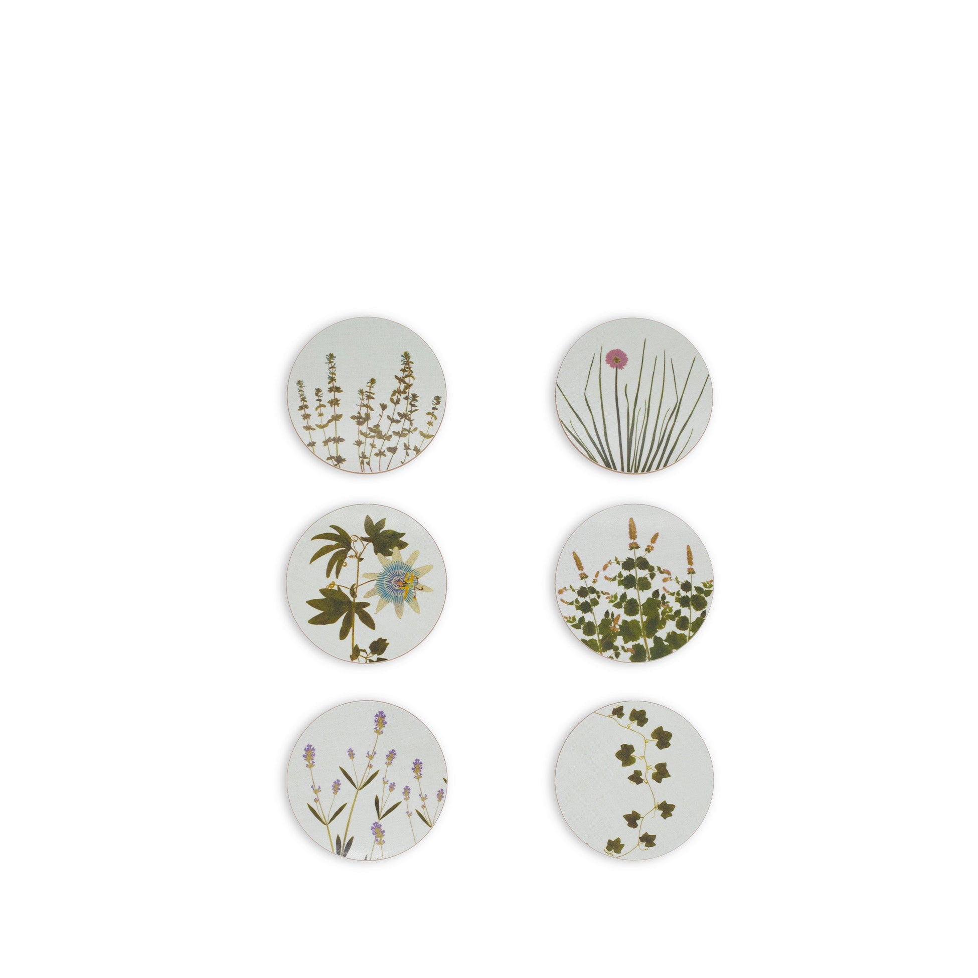Set of 6 Herbarium Cork-Backed Coasters