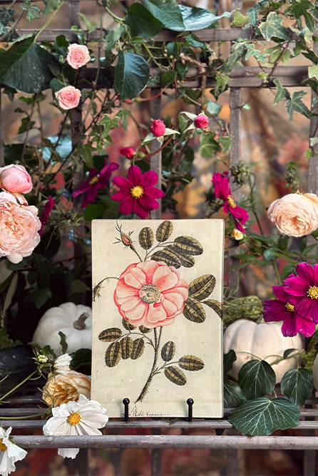 John Derian 'Peony III' Rectangular Tray, 15 x 23cm