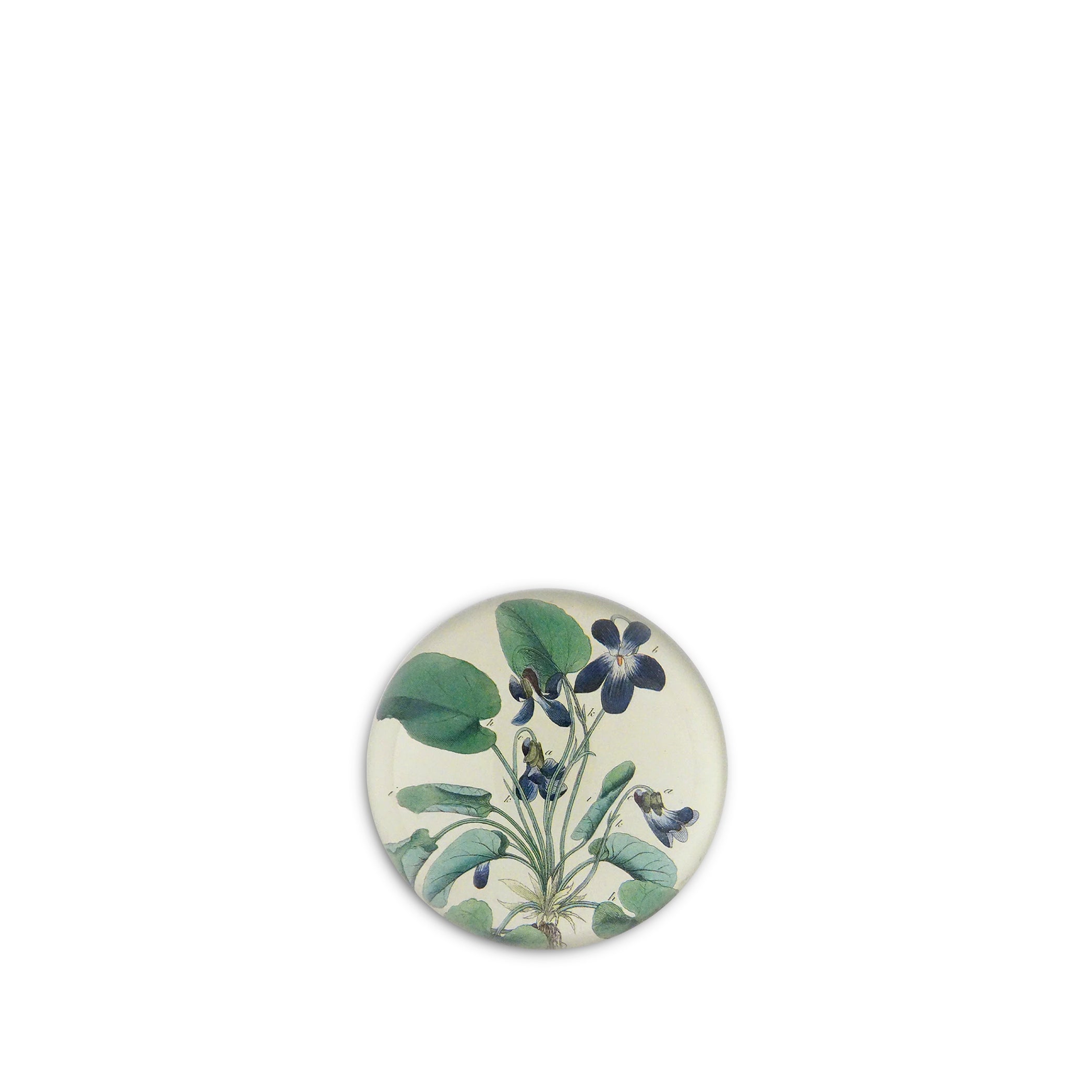 John Derian 'Violets' Dome Paperweight, 9cm