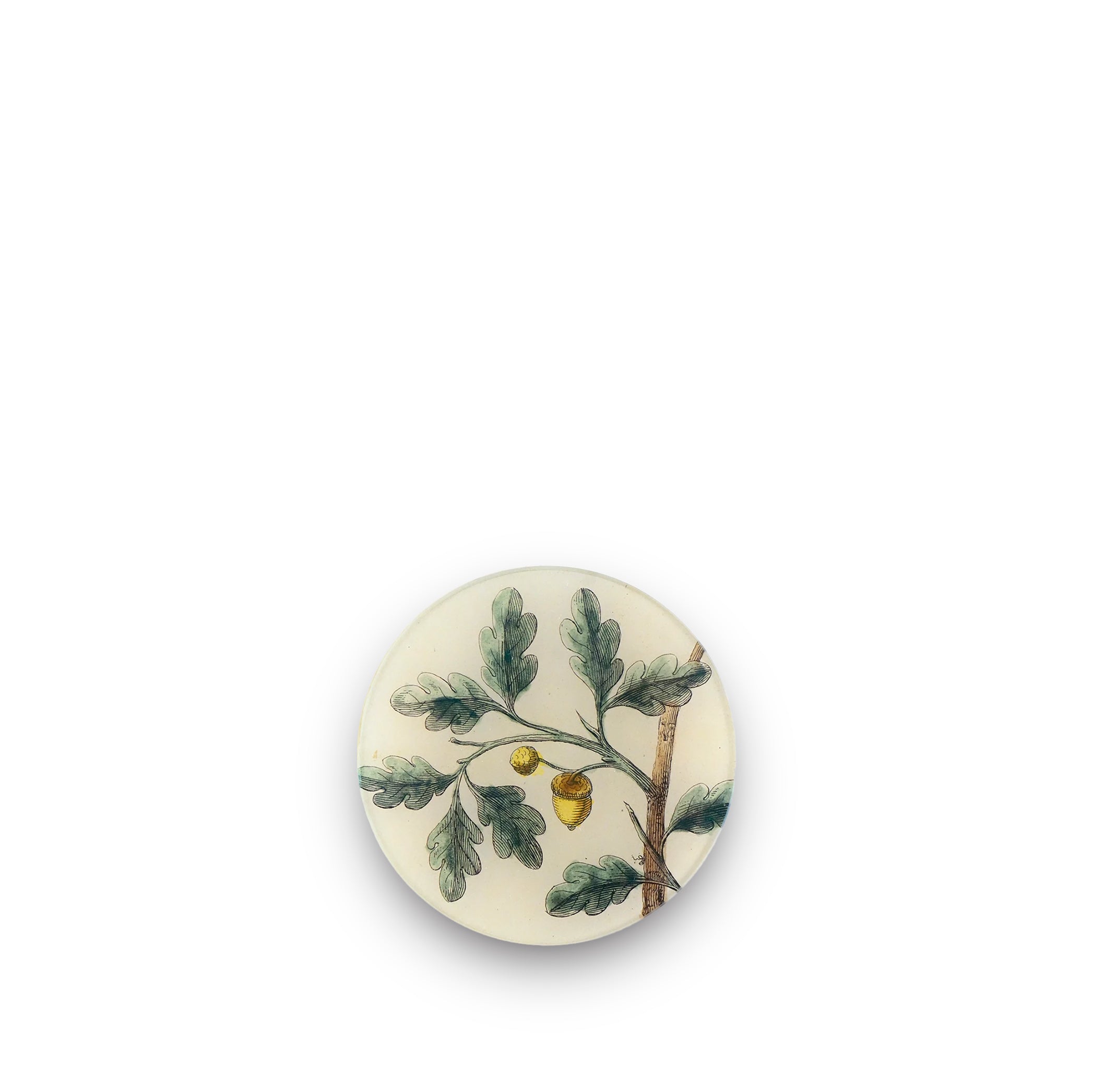 John Derian Acorns (Titmouse) Round plate, 13cm