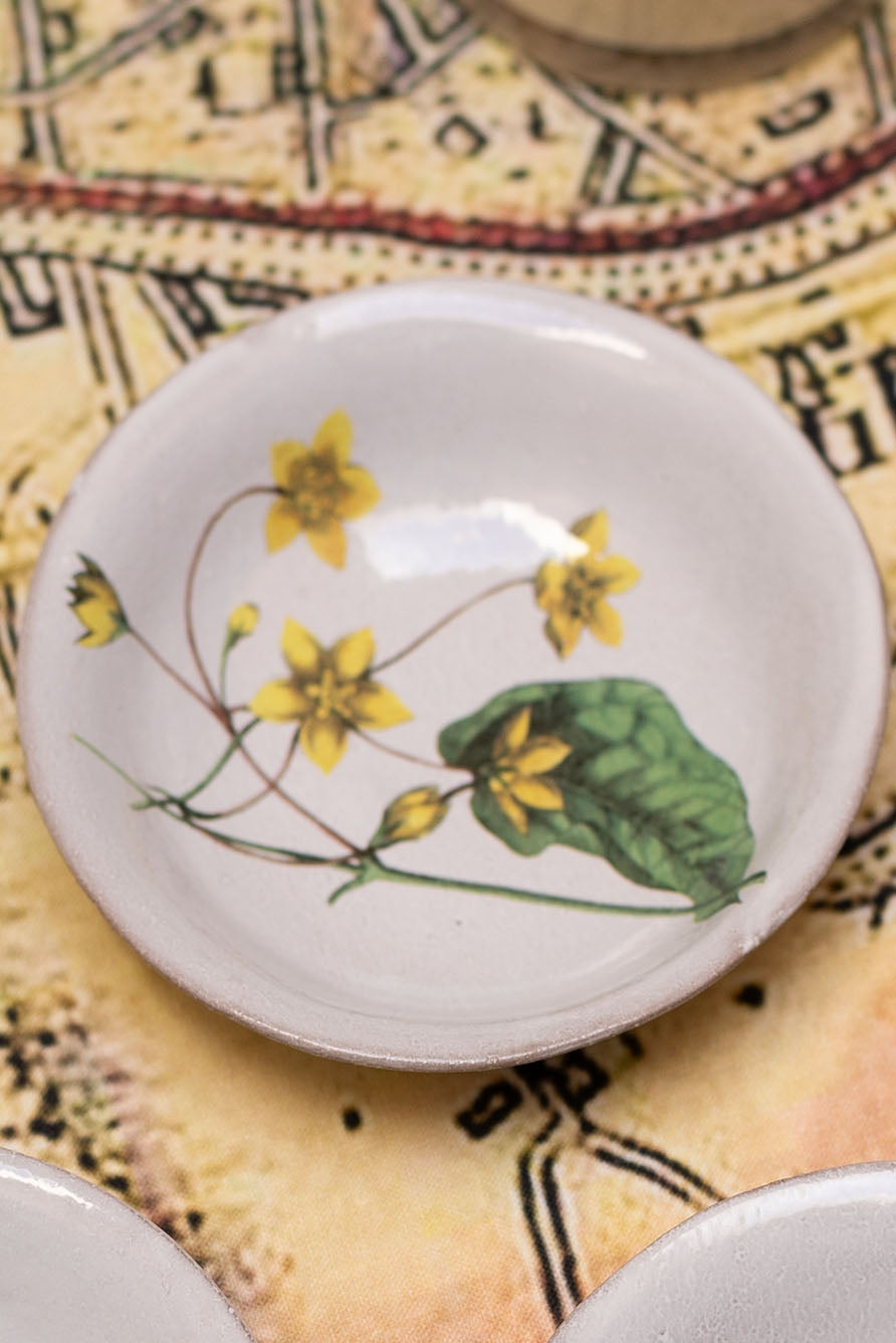 Tylophore Yellow Deep Saucer by Astier de Villatte, 11.5cm