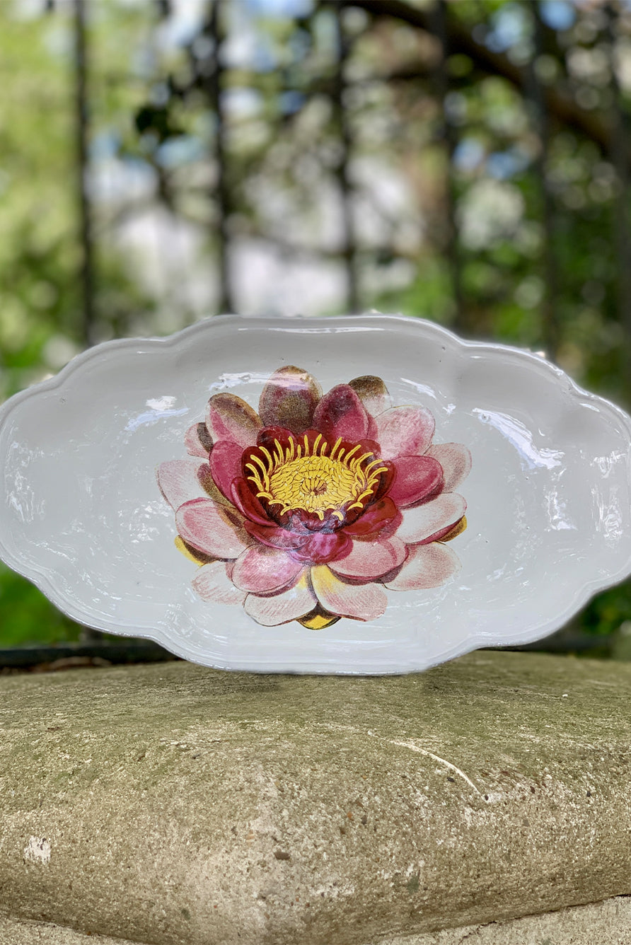 Decorative plate with a pink waterlily flower design on a stone surface with a blurred natural background