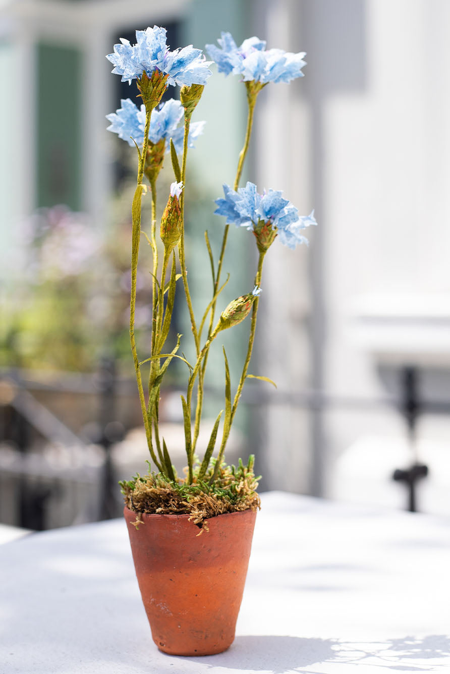 Blue Cornflower Paper Flowers & Clay Pot